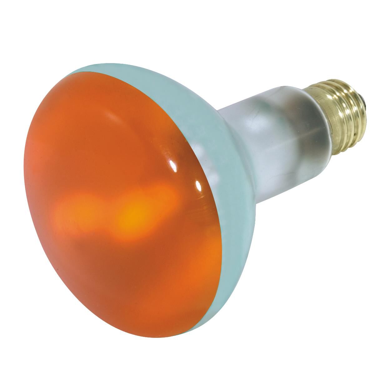 75 Watt BR30 Incandescent Light Bulb,