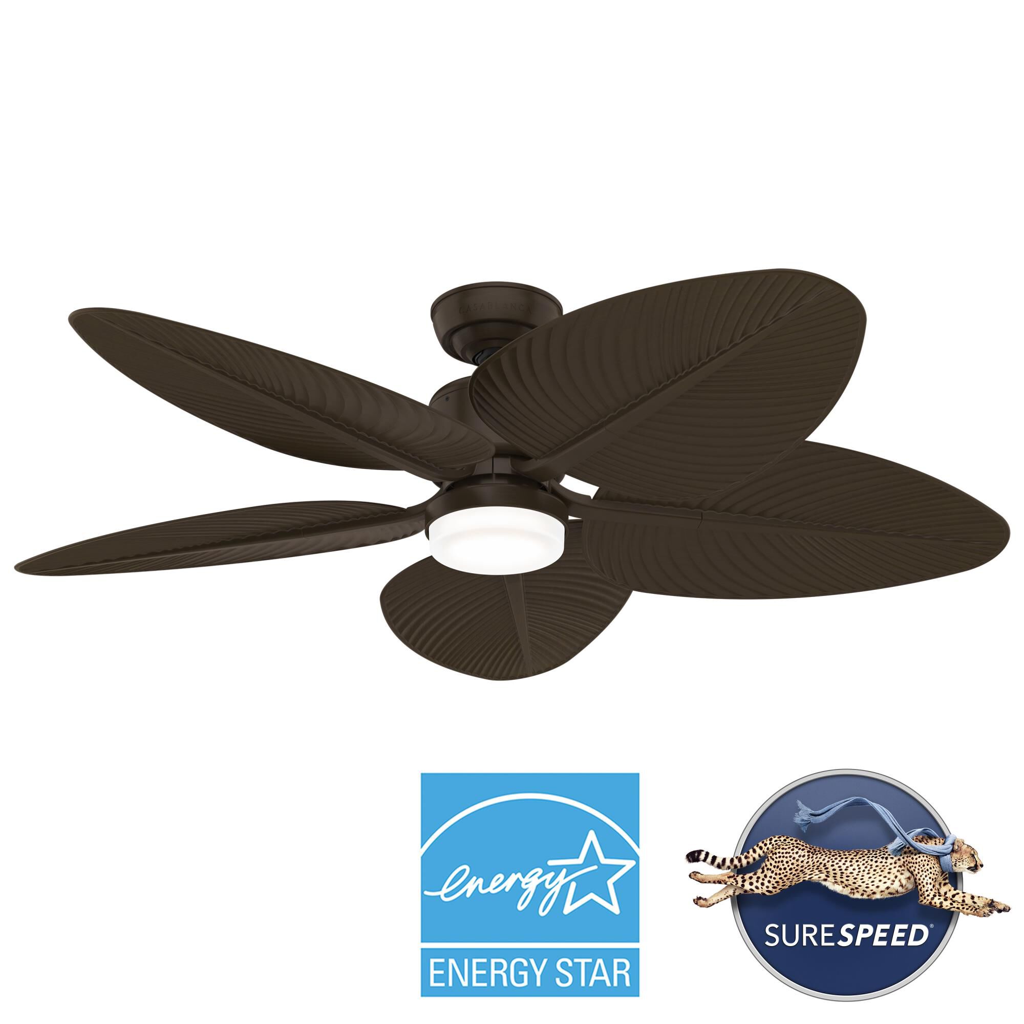 Coveview 52 Inch Ceiling Fan with Light Kit by Casablanca Fan Company