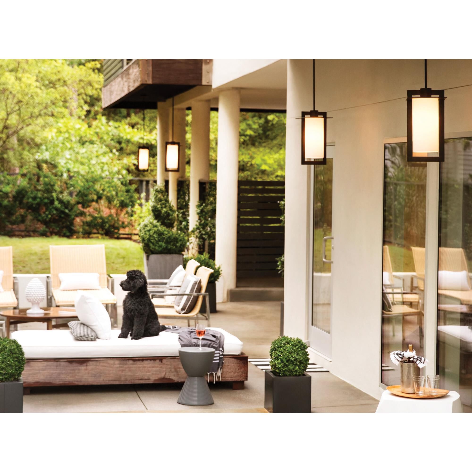 Hinkley Lighting Colfax 18 Inch Tall Outdoor Hanging Lantern