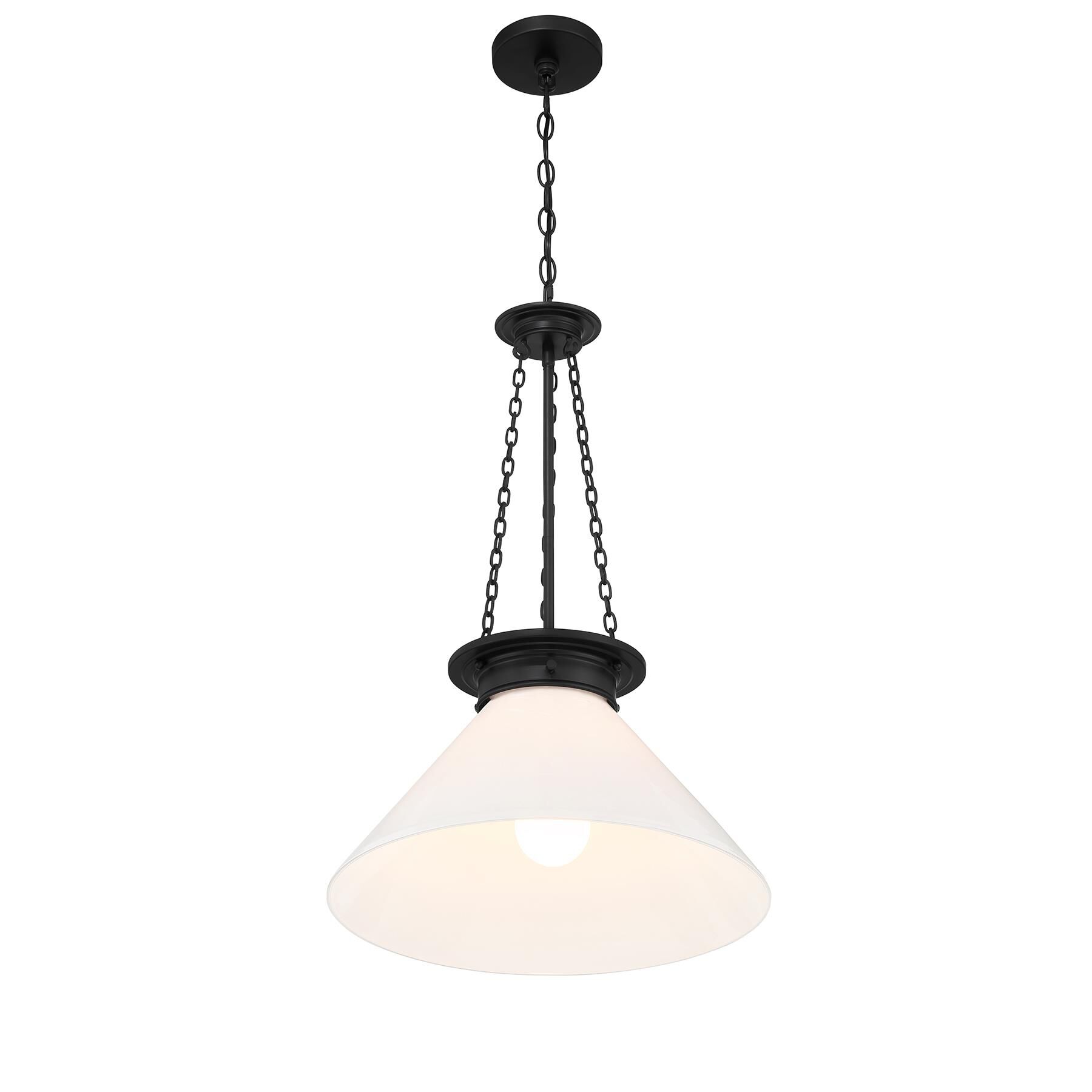 Myers 18 Inch Large Pendant by Savoy House