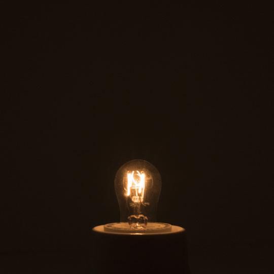 6 Watt S6 Novelty Light Bulb by Bulbrite
