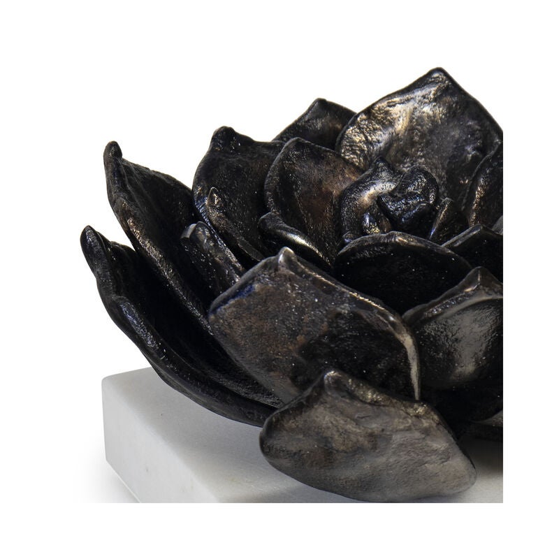 Succulent Sculpture by Regina Andrew