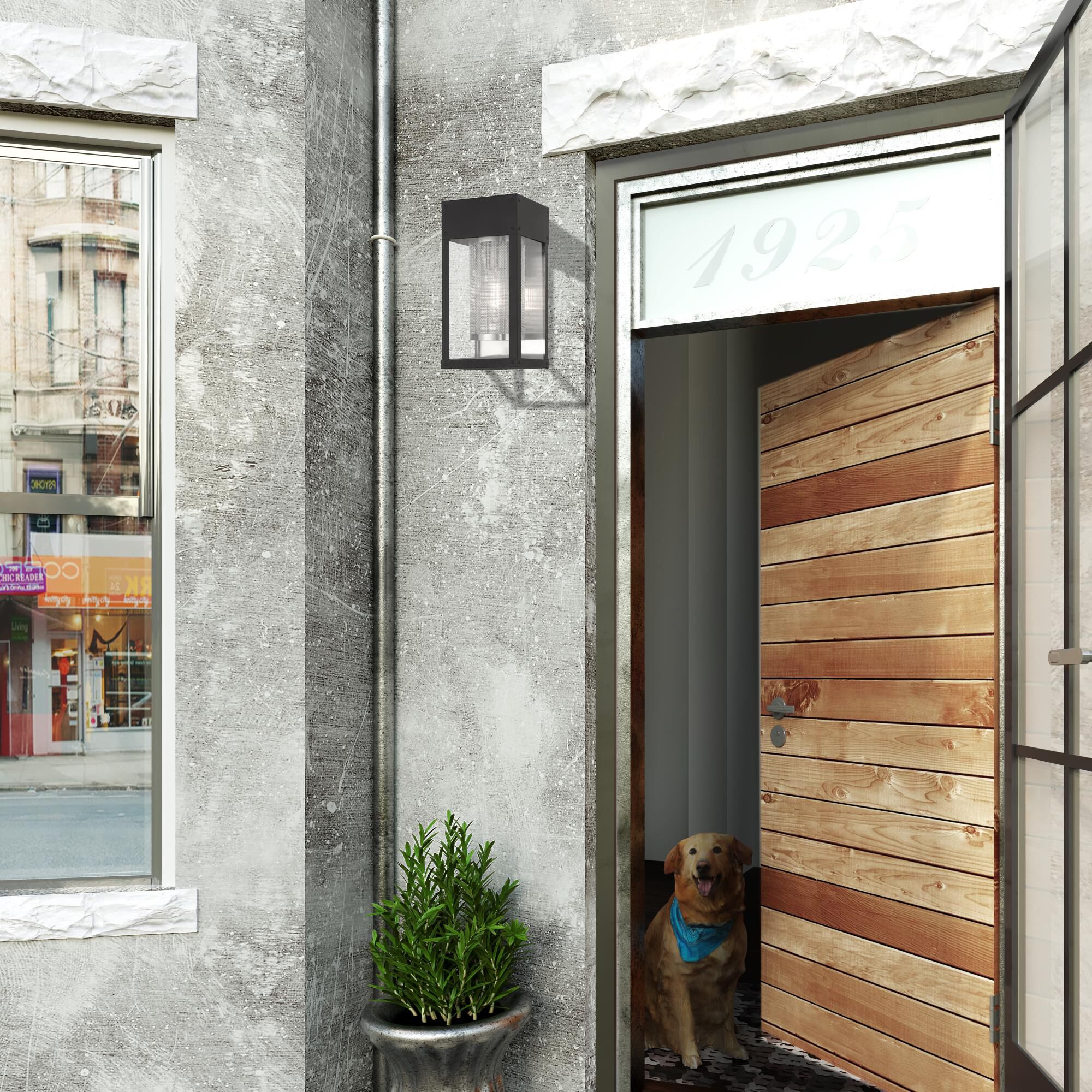 Shown in Black finish and Clear Outside and Stainless Steel Mesh Cylinder Inside glass