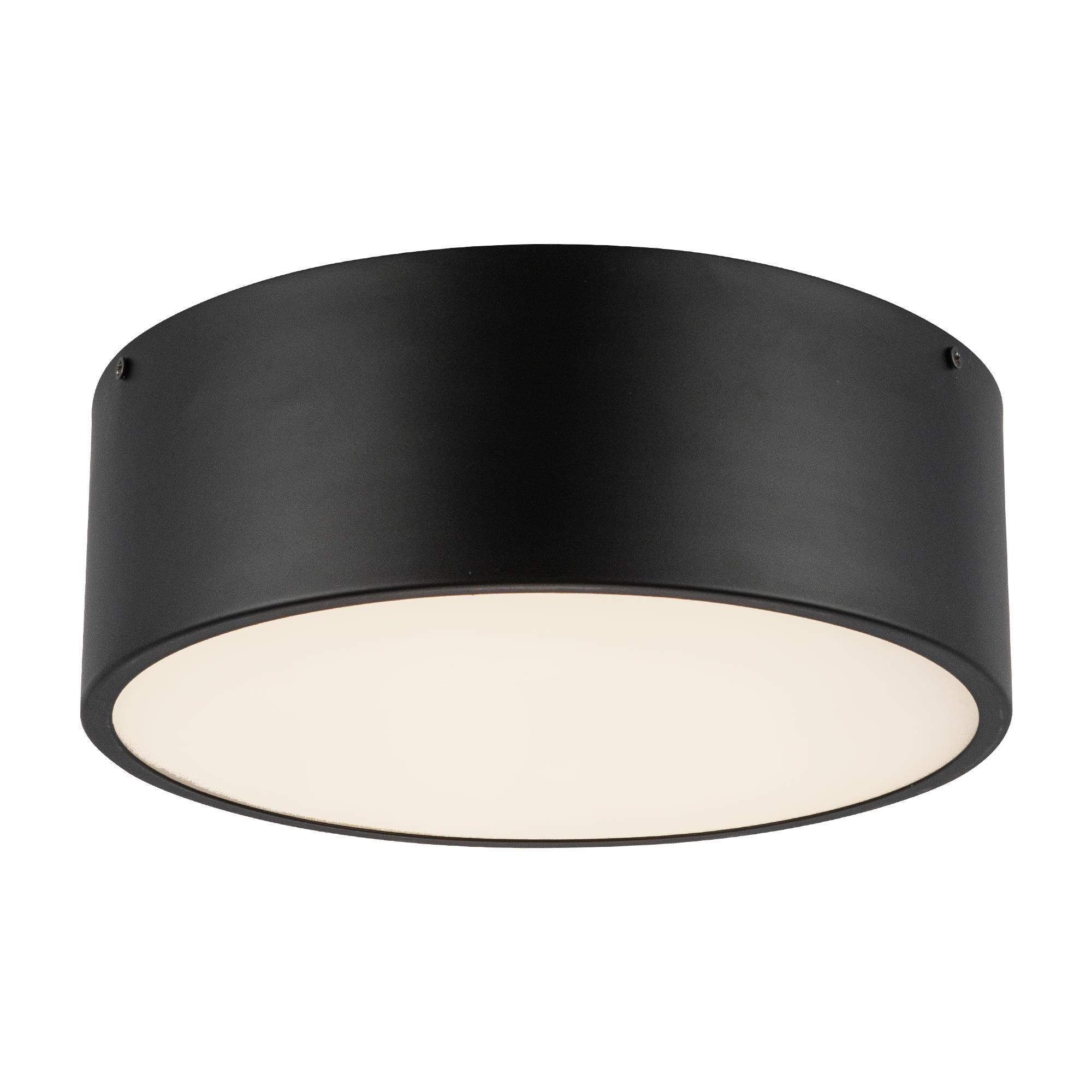 Brisbane 12 Inch 2 Light Flush Mount,