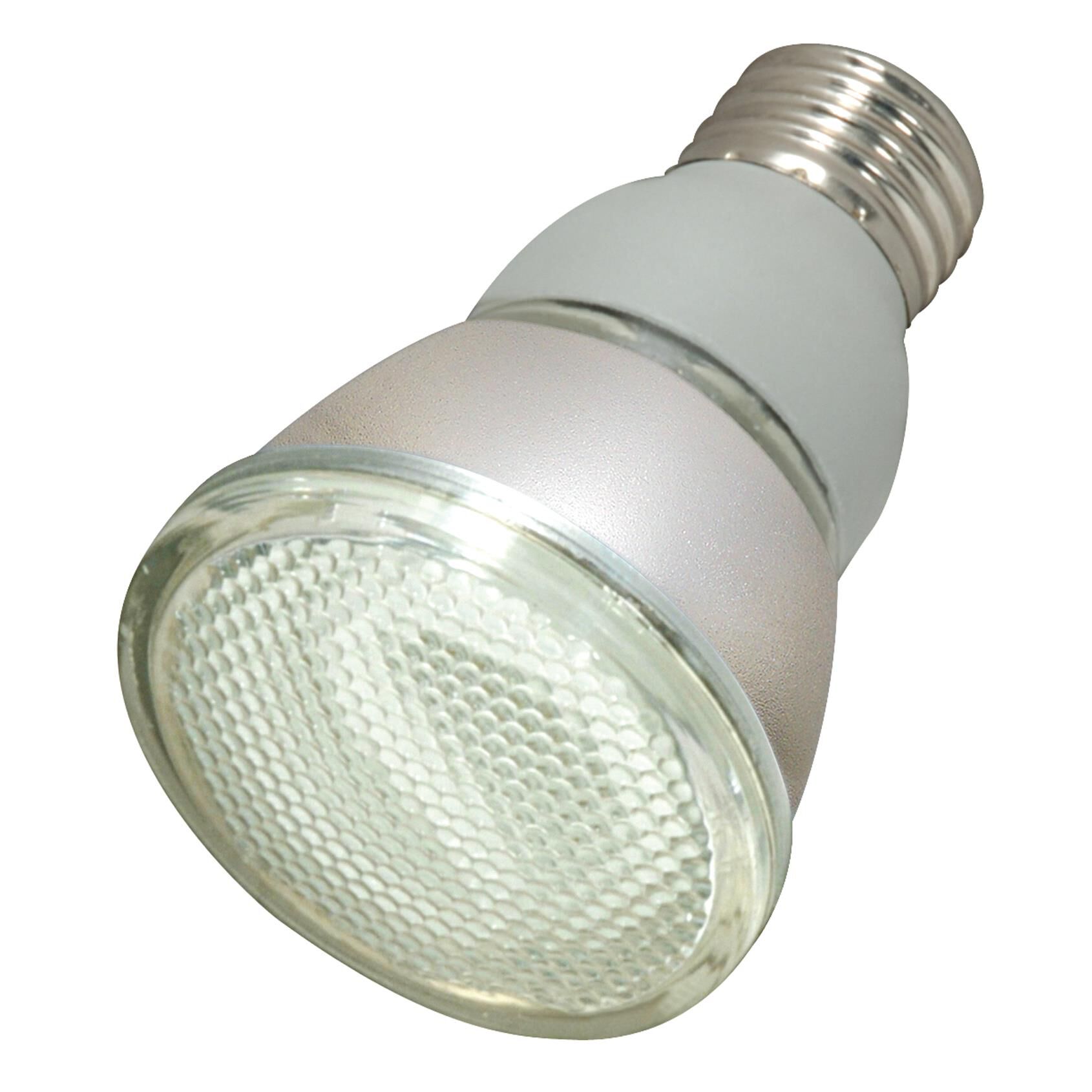 11 Watt 2700K Compact Fluorescent Light Bulb,