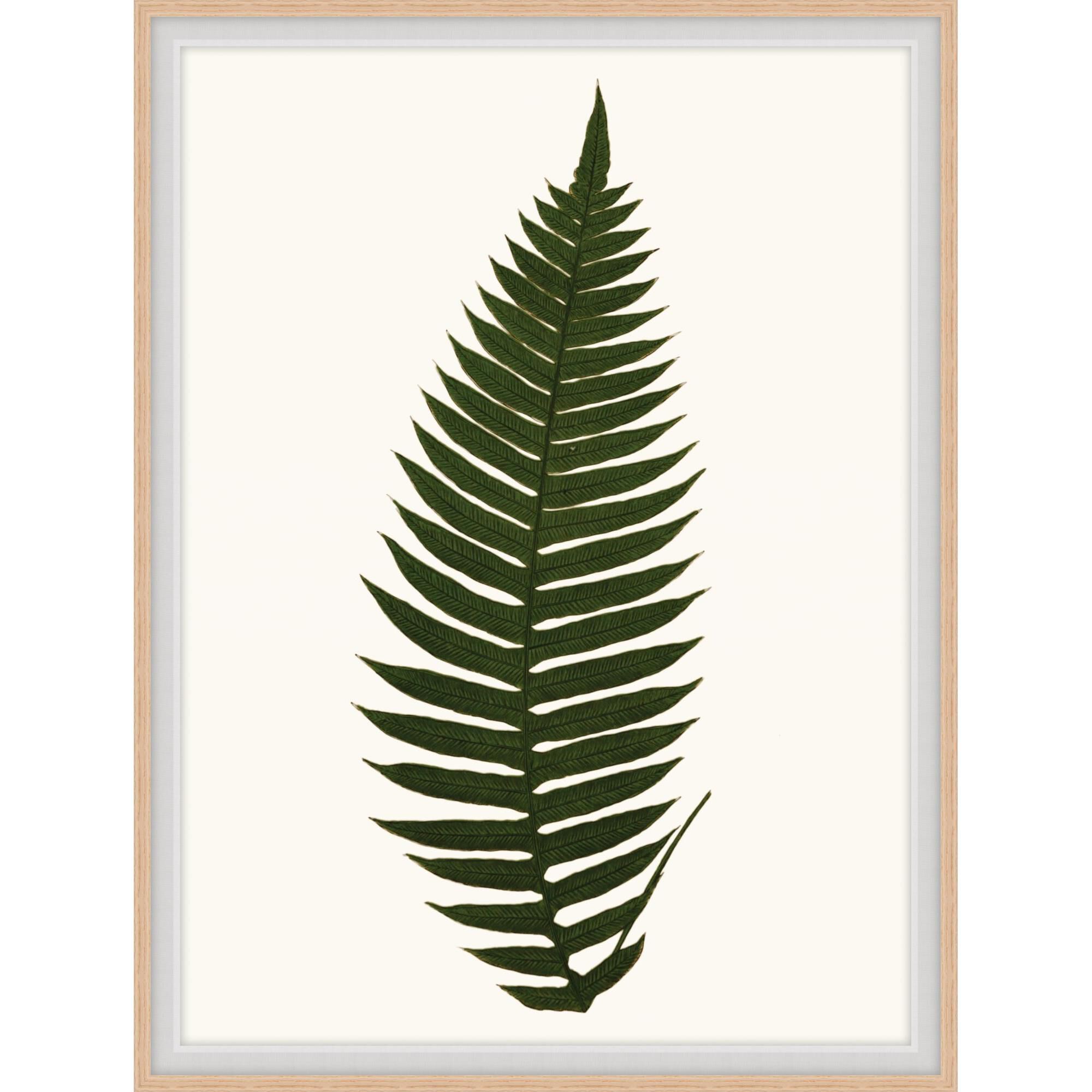 Studio L57 Nouvelle Elevated Undergrowth Print by LEVEL57