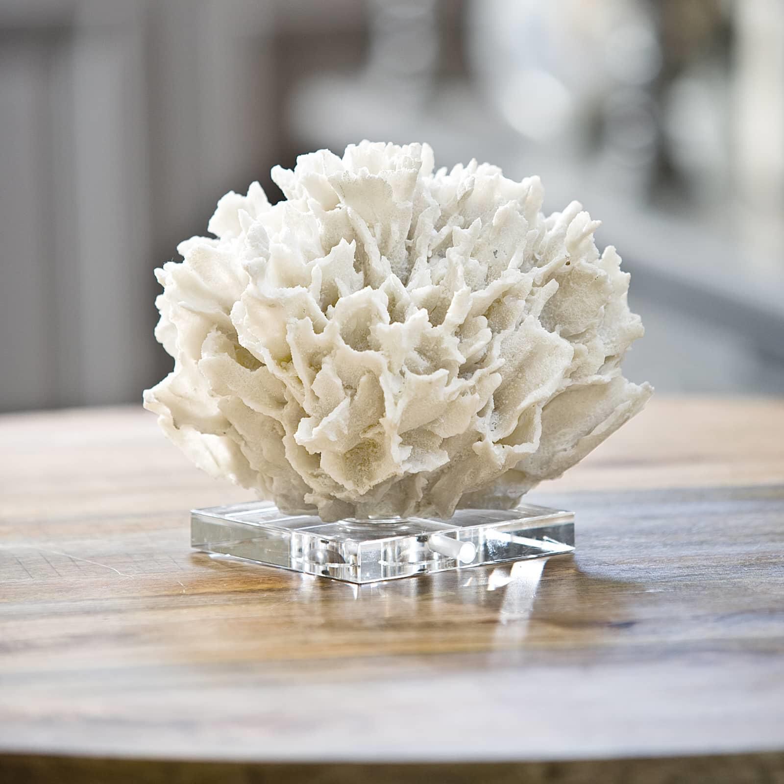 Ribbon Coral 9 Inch Other Table Accent by Regina Andrew