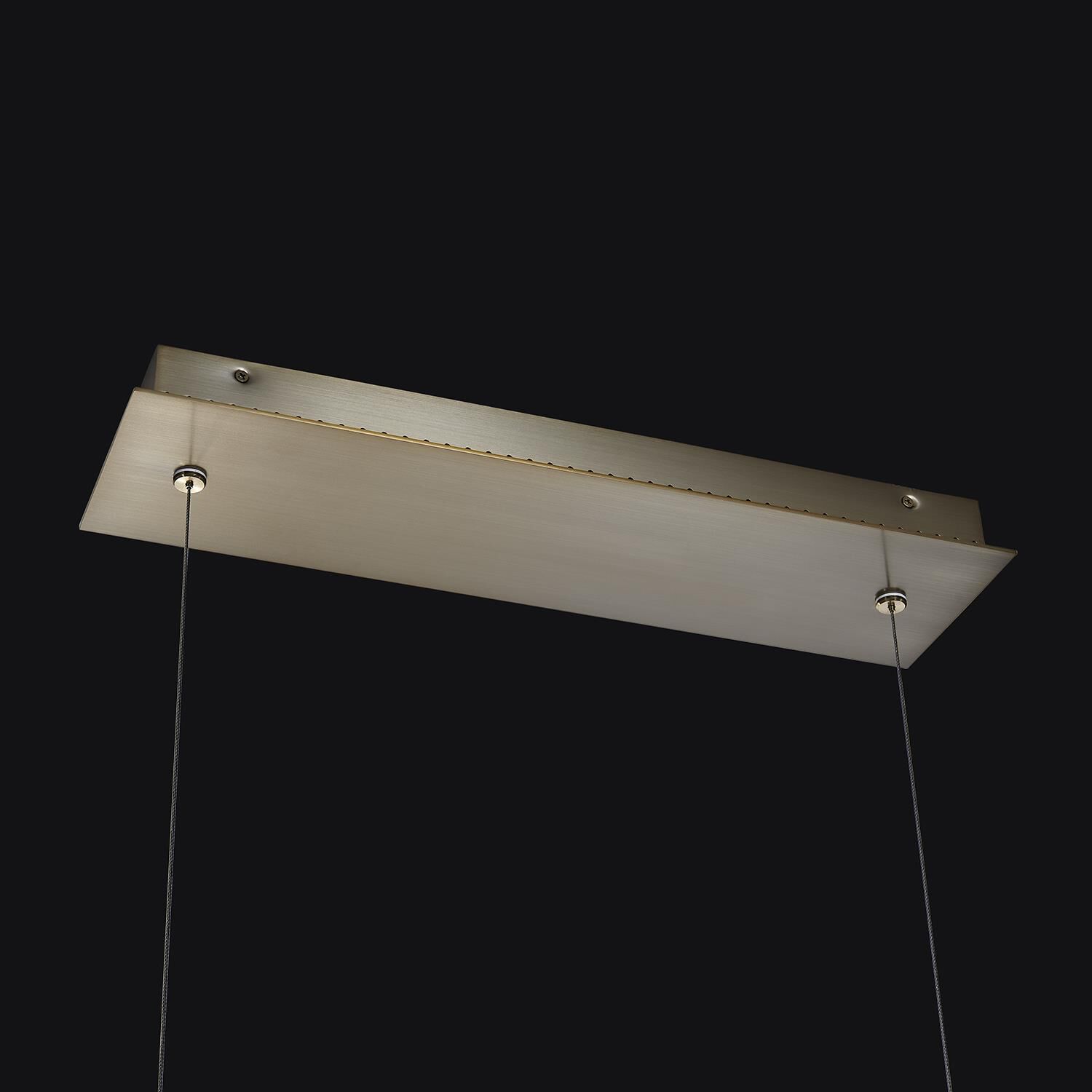 Dama 60 Inch Linear Suspension Light by Allegri