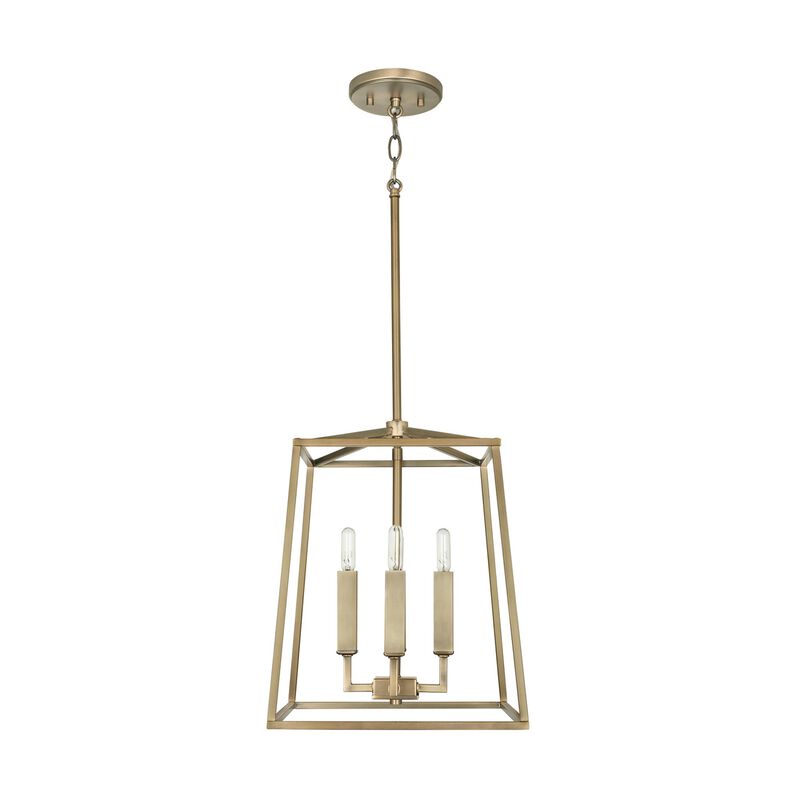 Thea 12 Inch Cage Pendant by Capital Lighting Fixture Company