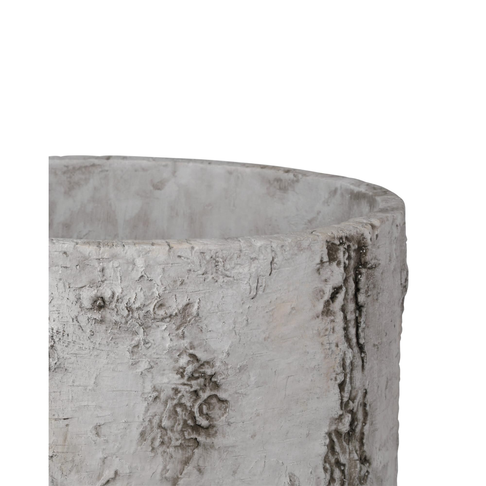 Faux Birch Planter,
