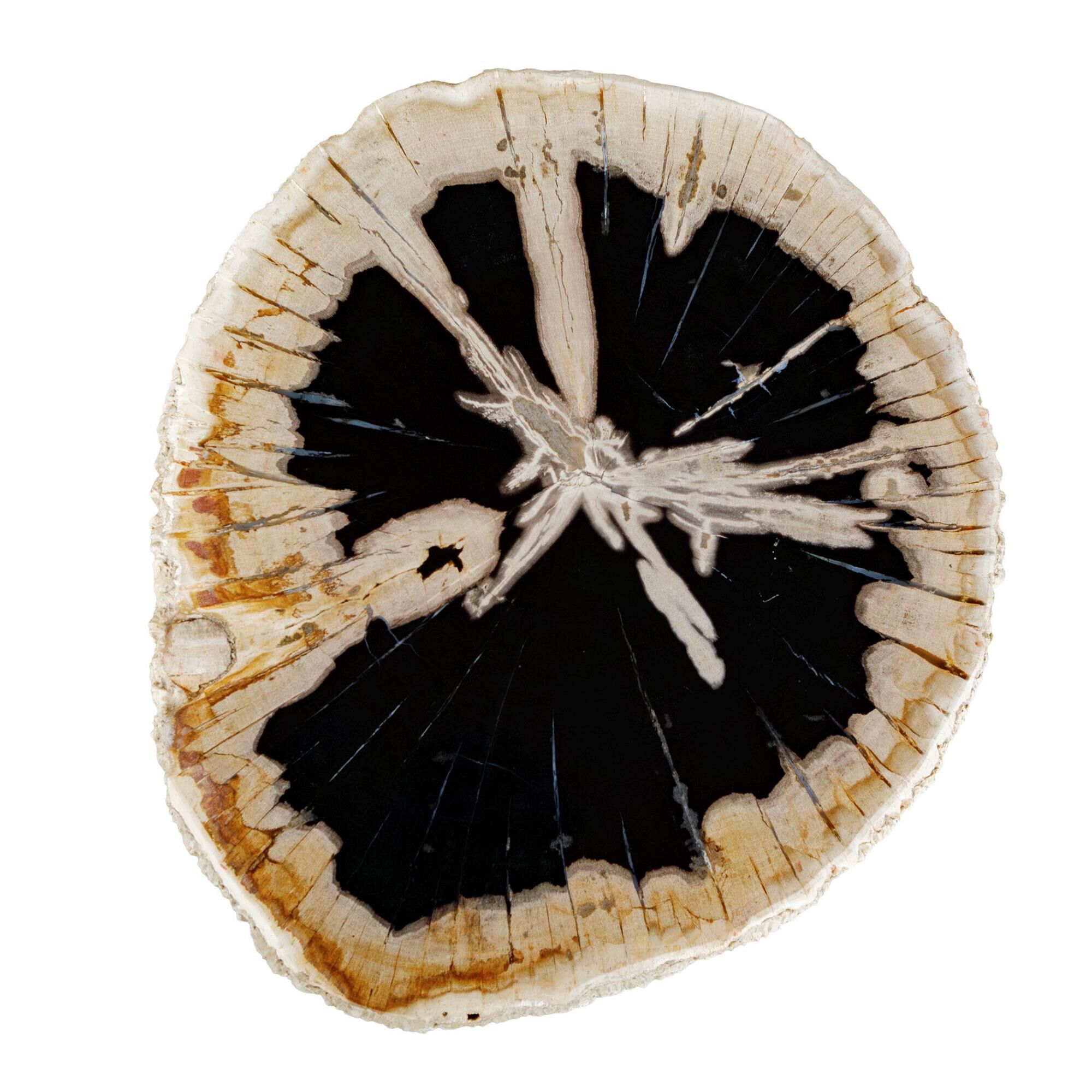 Shown in Black, White finish