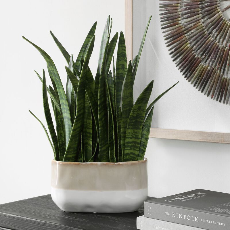 Sansera Snake Botanical by Uttermost