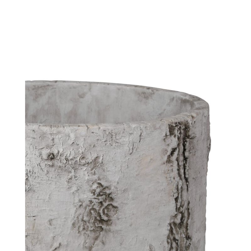 Faux Birch Planter by Currey and Company