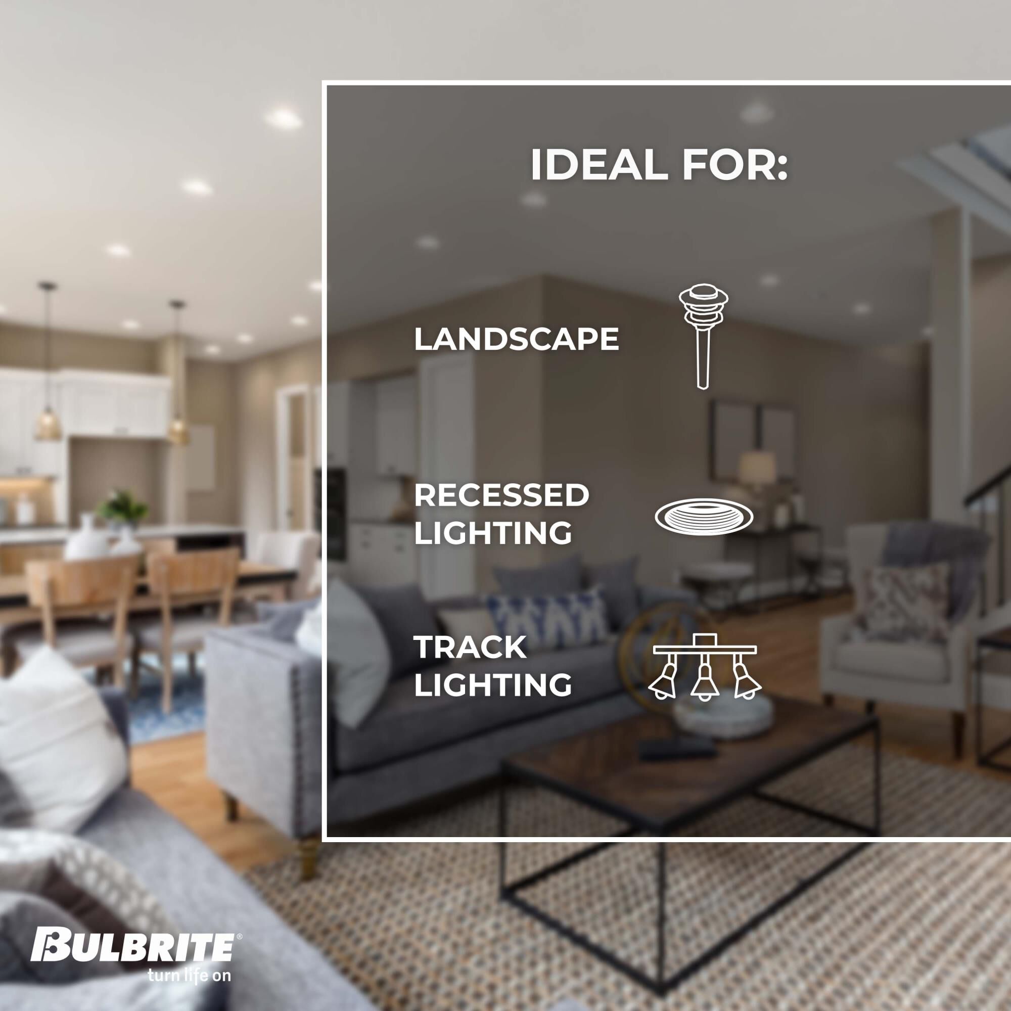 15 Watt 3000K PAR38 LED Light Bulb by Bulbrite