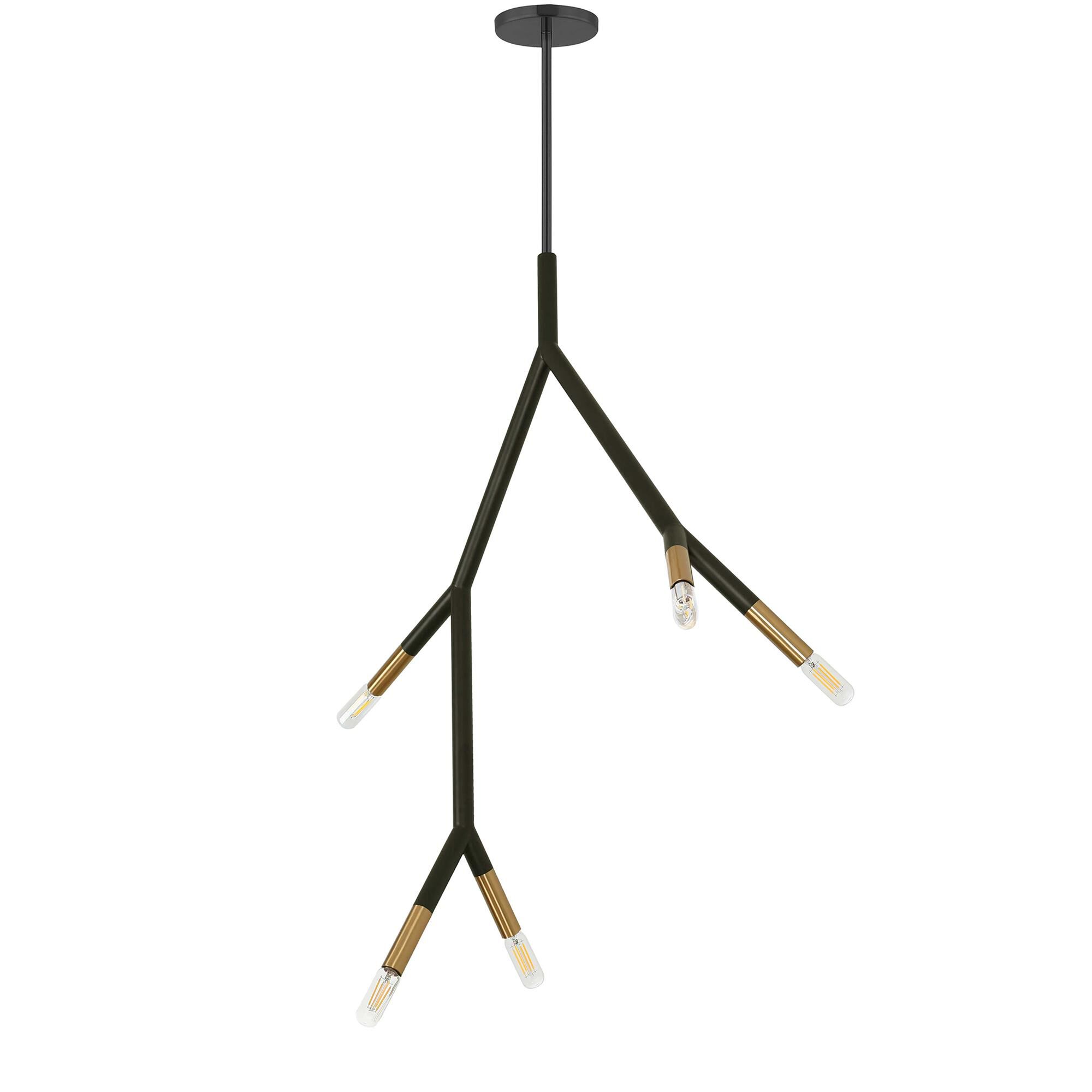 Morgan 21 Inch 5 Light Multi Light Pendant by Dainolite