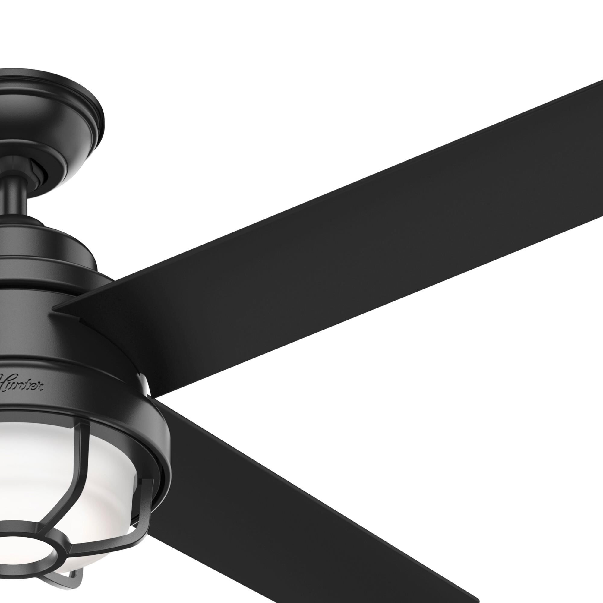 Searow Outdoor Rated 54 Inch Ceiling Fan with Light Kit by Hunter Fan