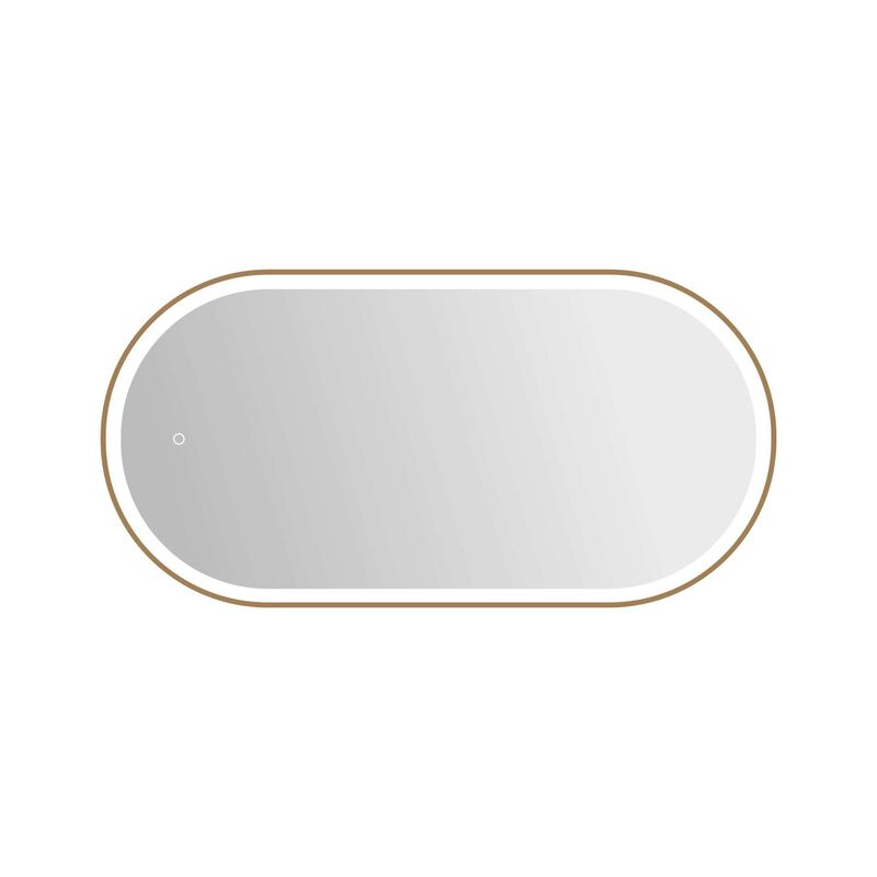 Harmoni 48 Inch Oval LED Lighted Mirror by Elegant Decor