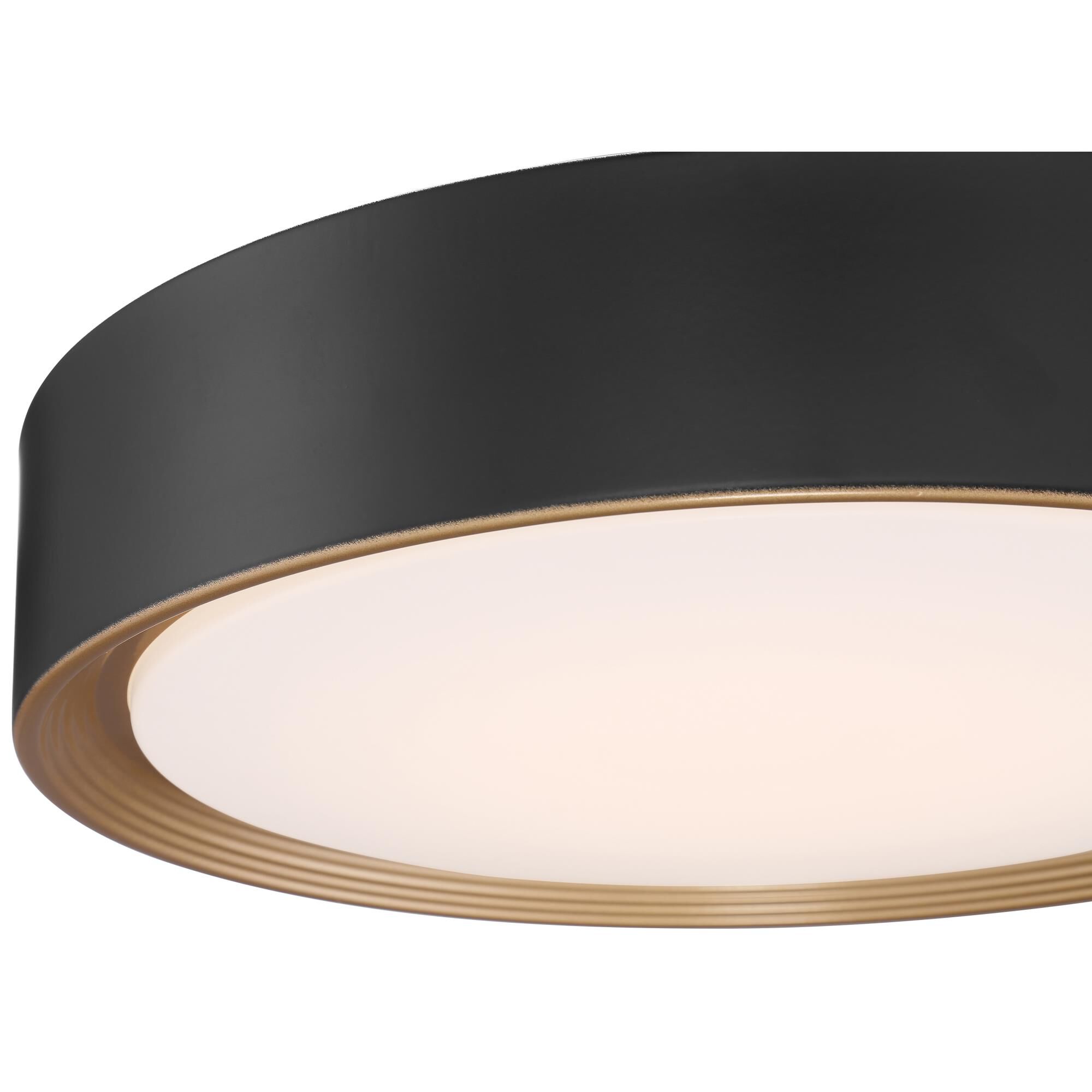 Malaga 1 Light LED Flush Mount by Access Lighting