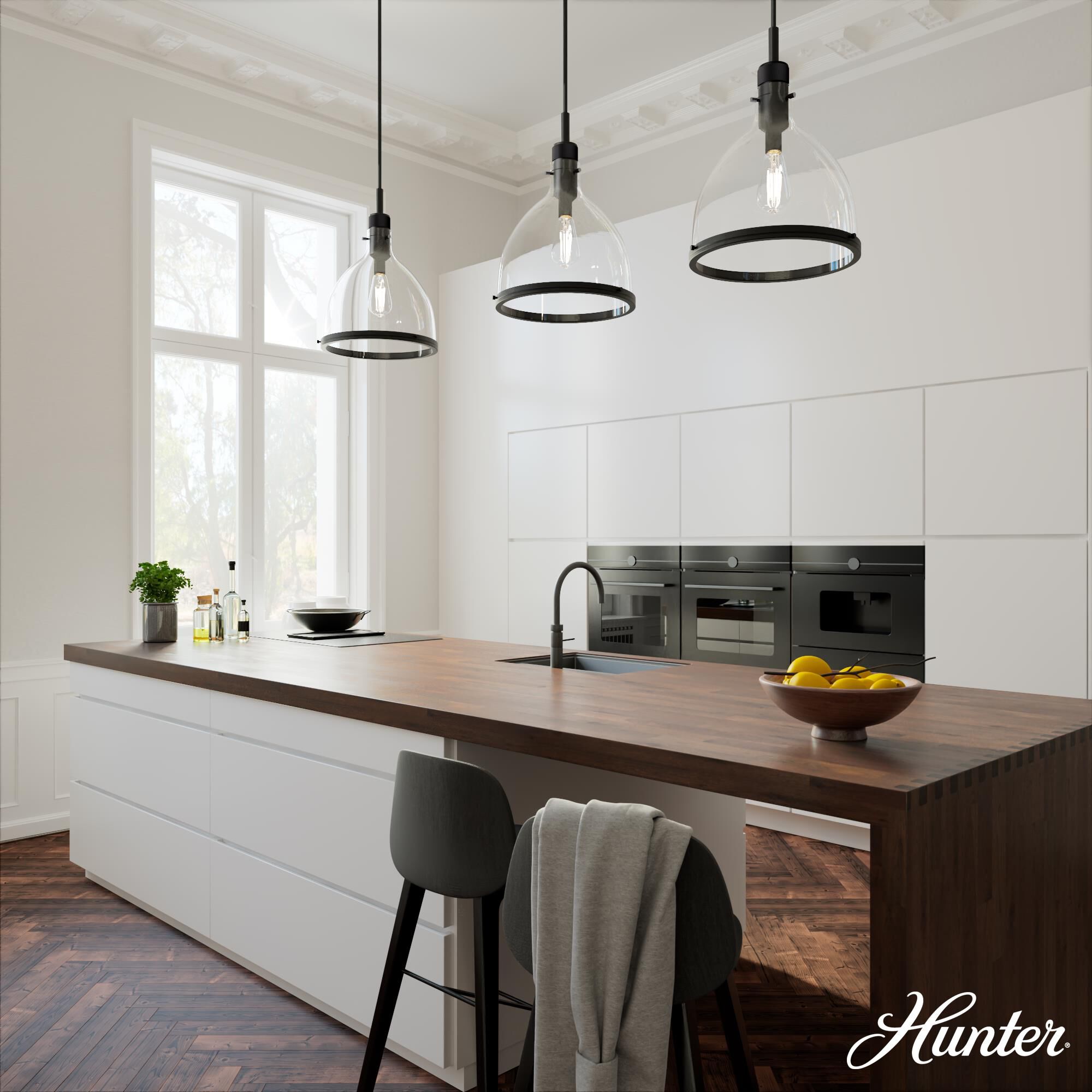 Van Nuys 16 Inch Large Pendant by Hunter Fan