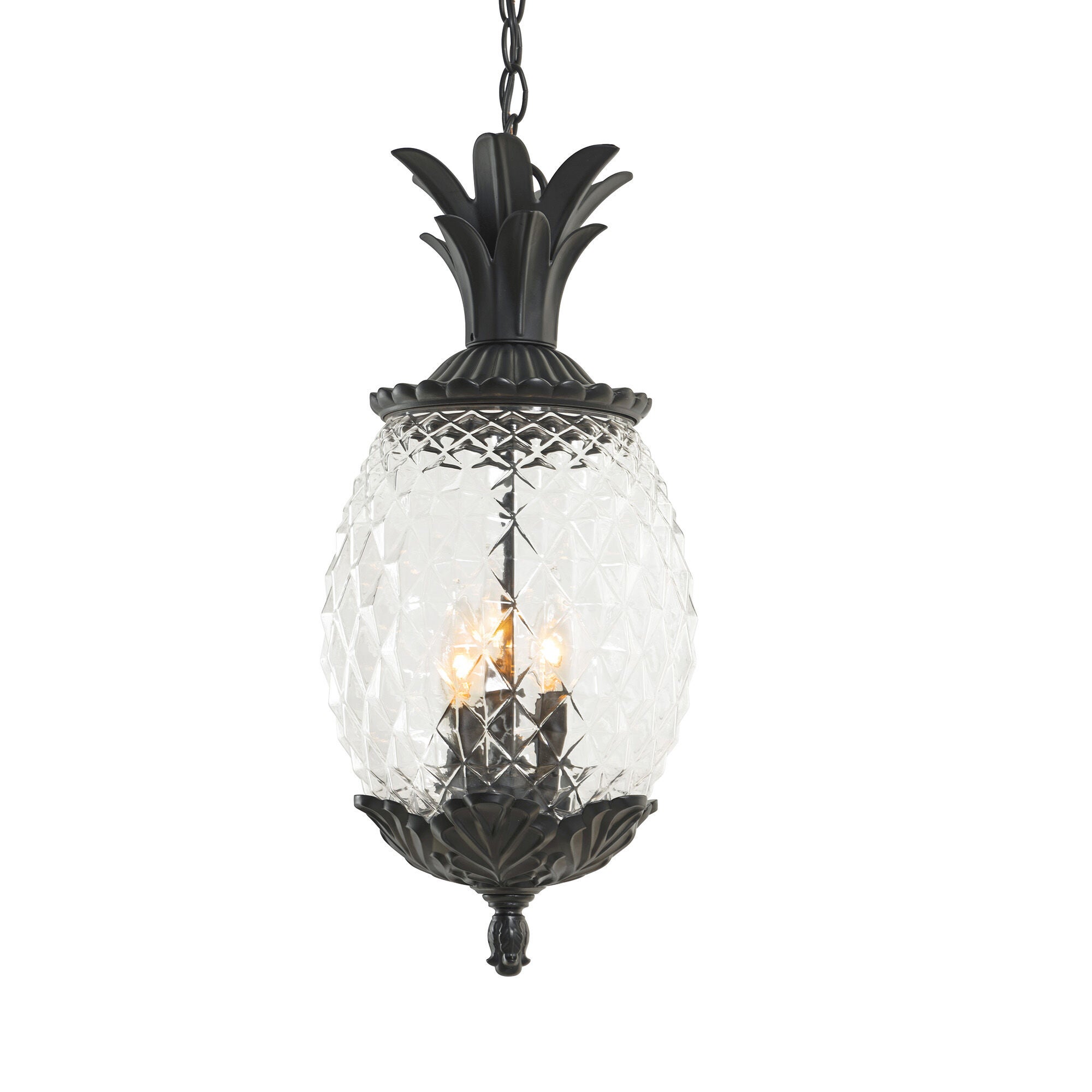 Shown in Matte Black finish and Clear glass and Clear Pineapple Glass Globe shade