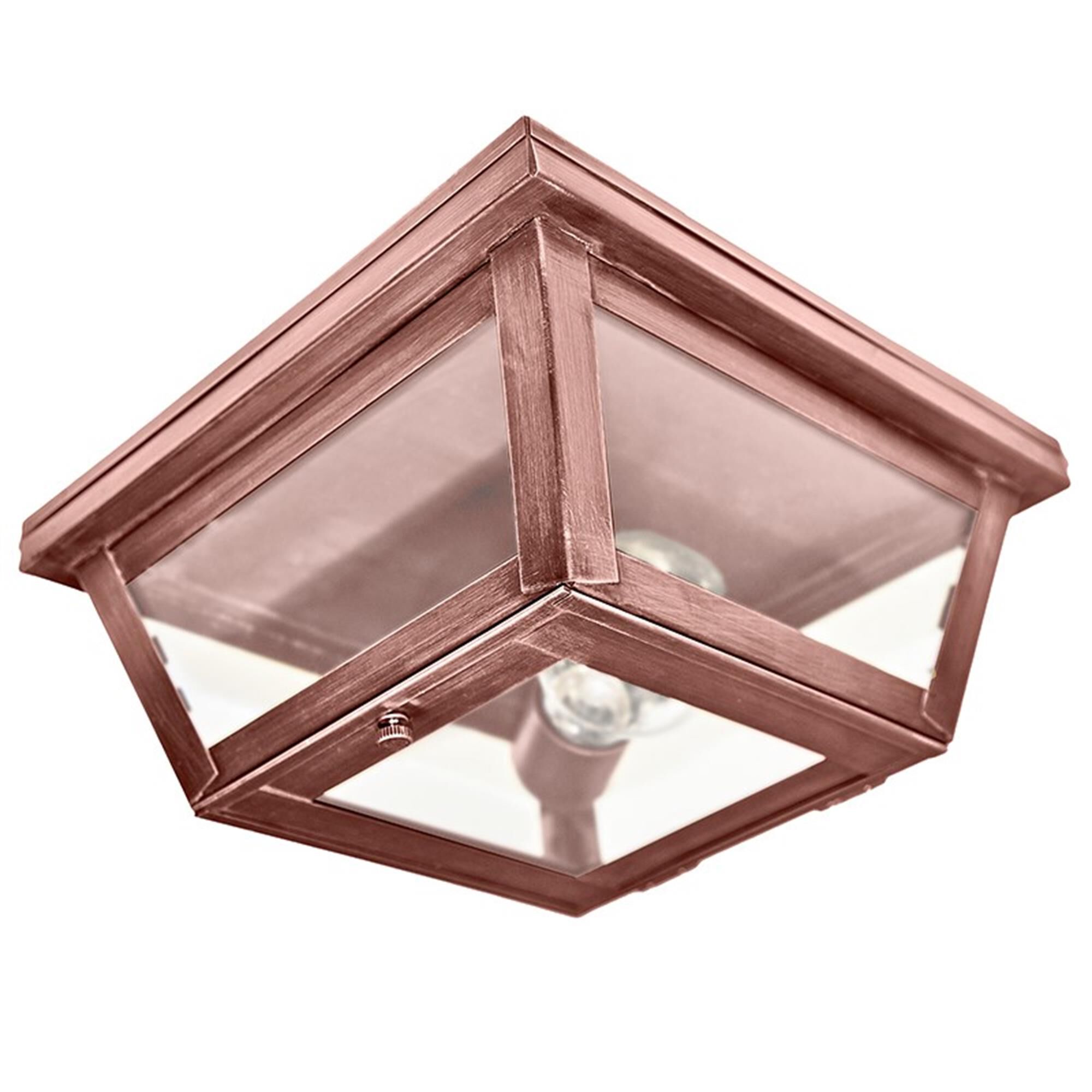 Williams 9 Inch Outdoor Flush Mount,