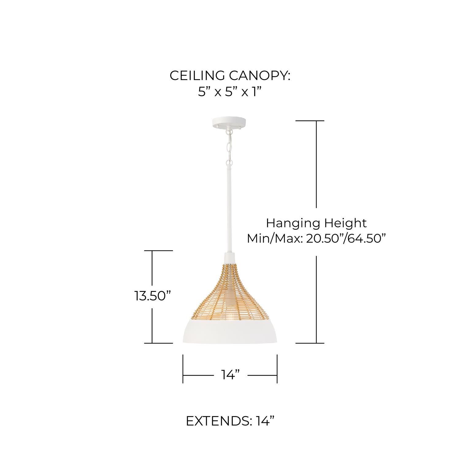 Kali 14 Inch Large Pendant by Capital Lighting Fixture Company