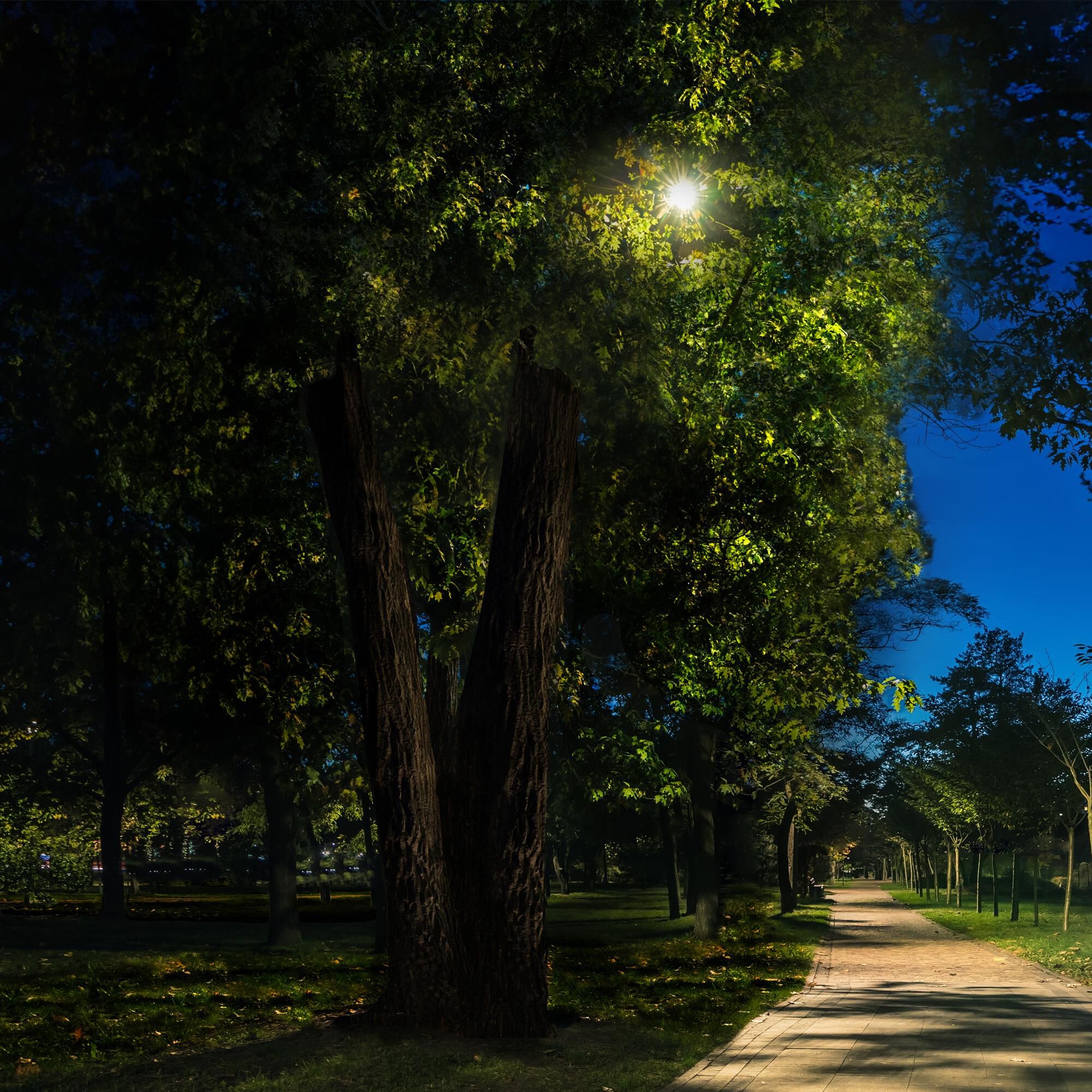 Colorscaping 7 Inch Outdoor Spot Light by WAC Lighting