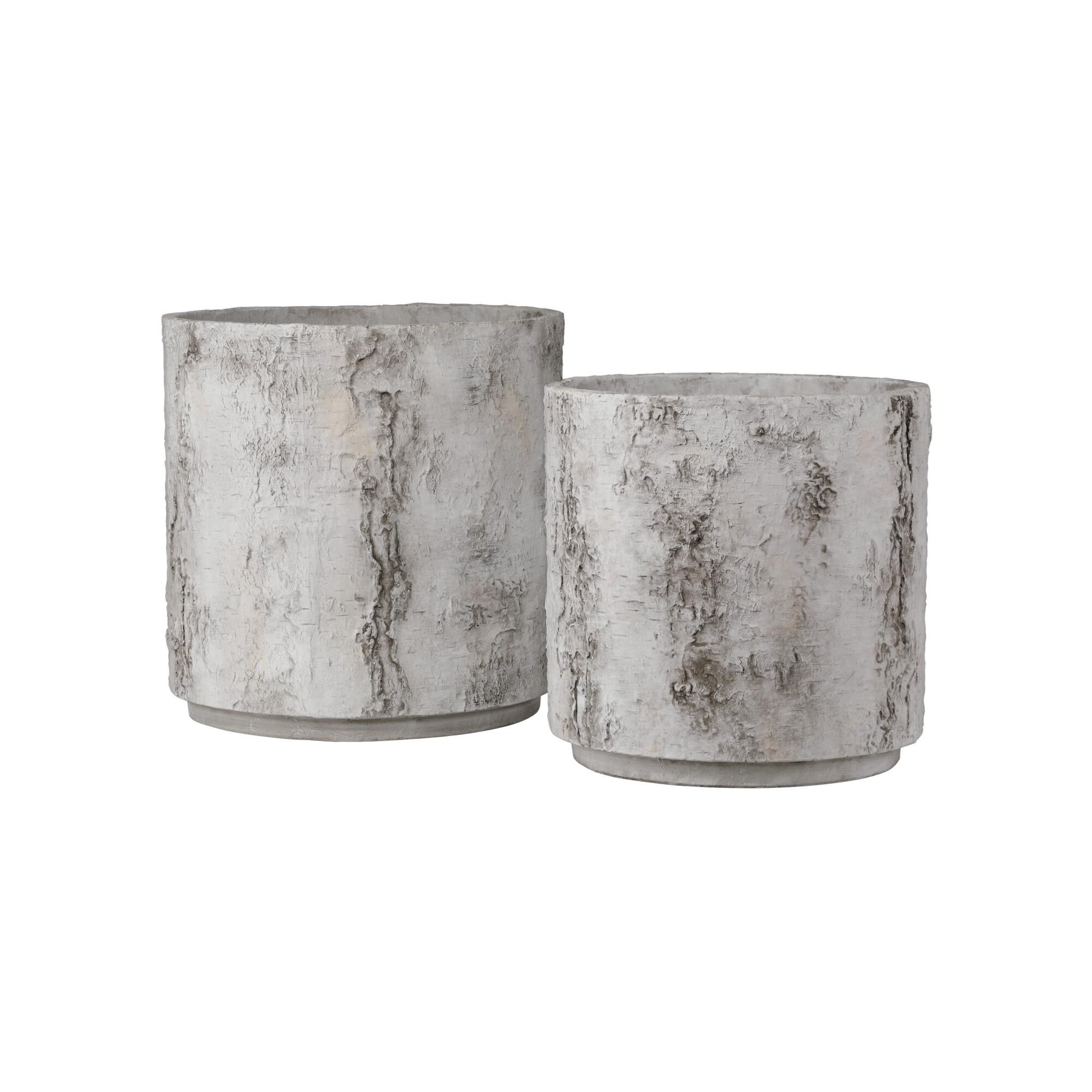 Faux Birch Planter by Currey and Company