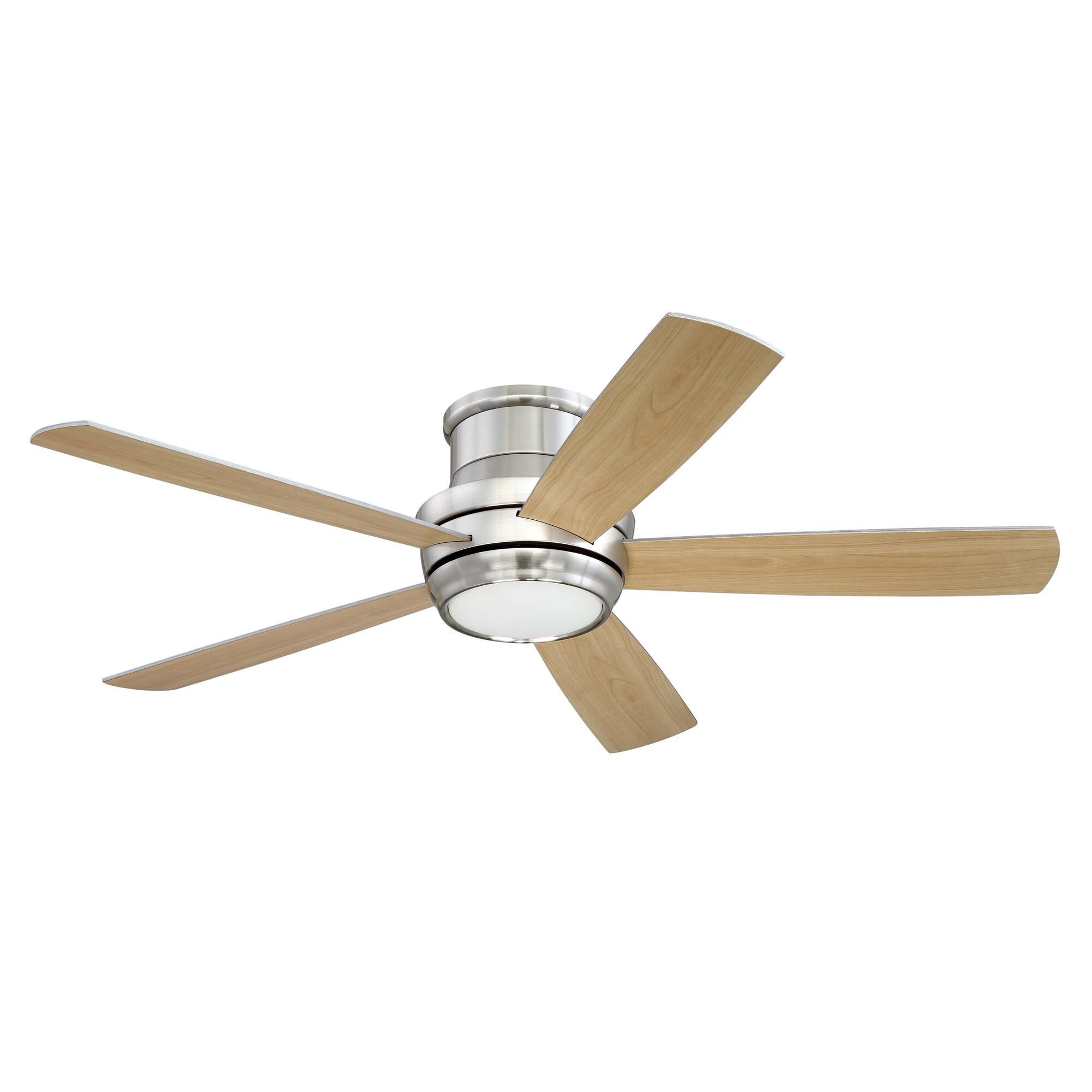 Shown in Brushed Polished Nickel finish and Yes glass and Yes shade