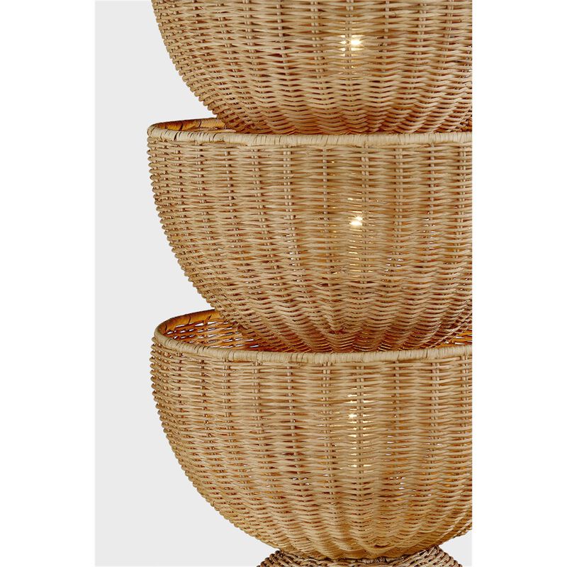 Rian 55 Inch Floor Lamp by Troy Lighting