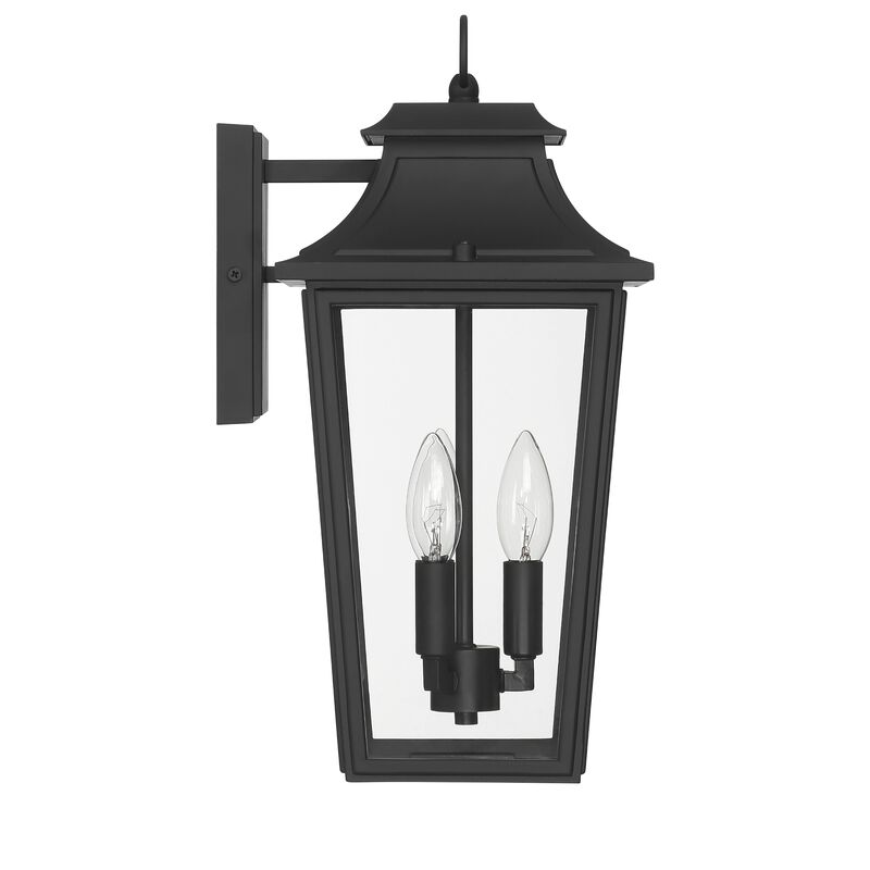 Spring Cove 16 Inch Outdoor Wall Light by Hunter Fan