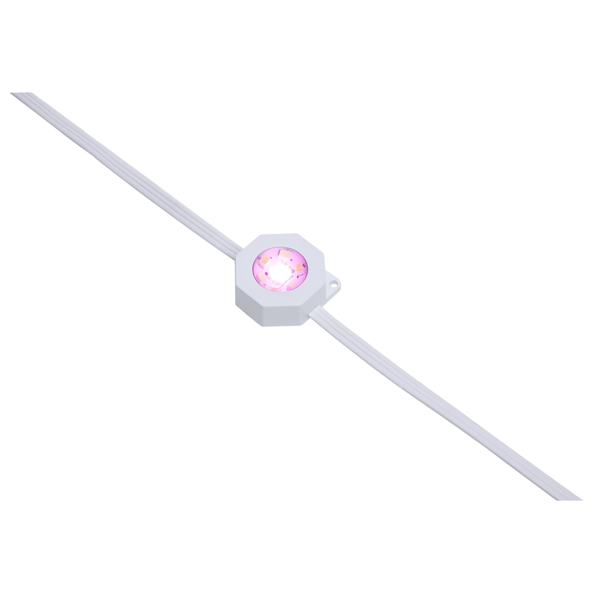Starfish 600 Inch String Light by Satco