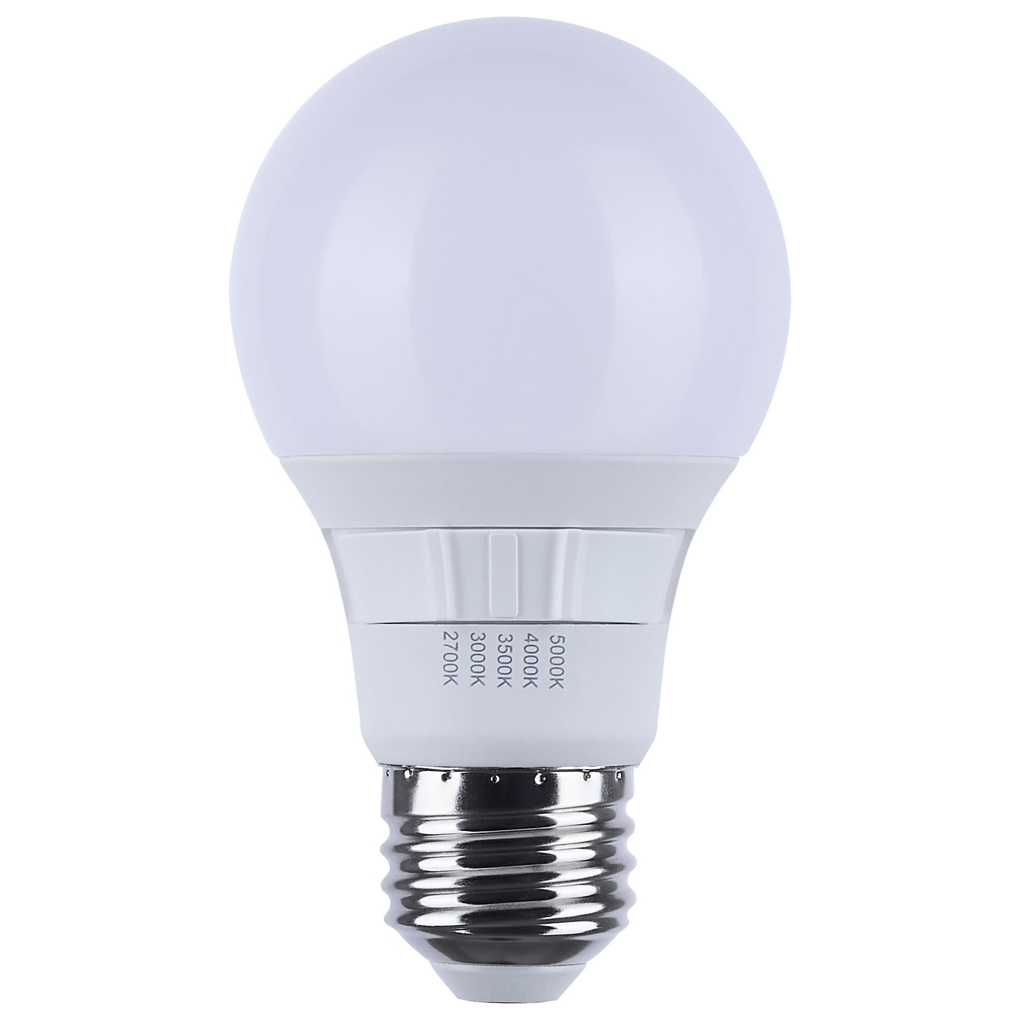 6 Watt 2700K A19 LED Light Bulb,