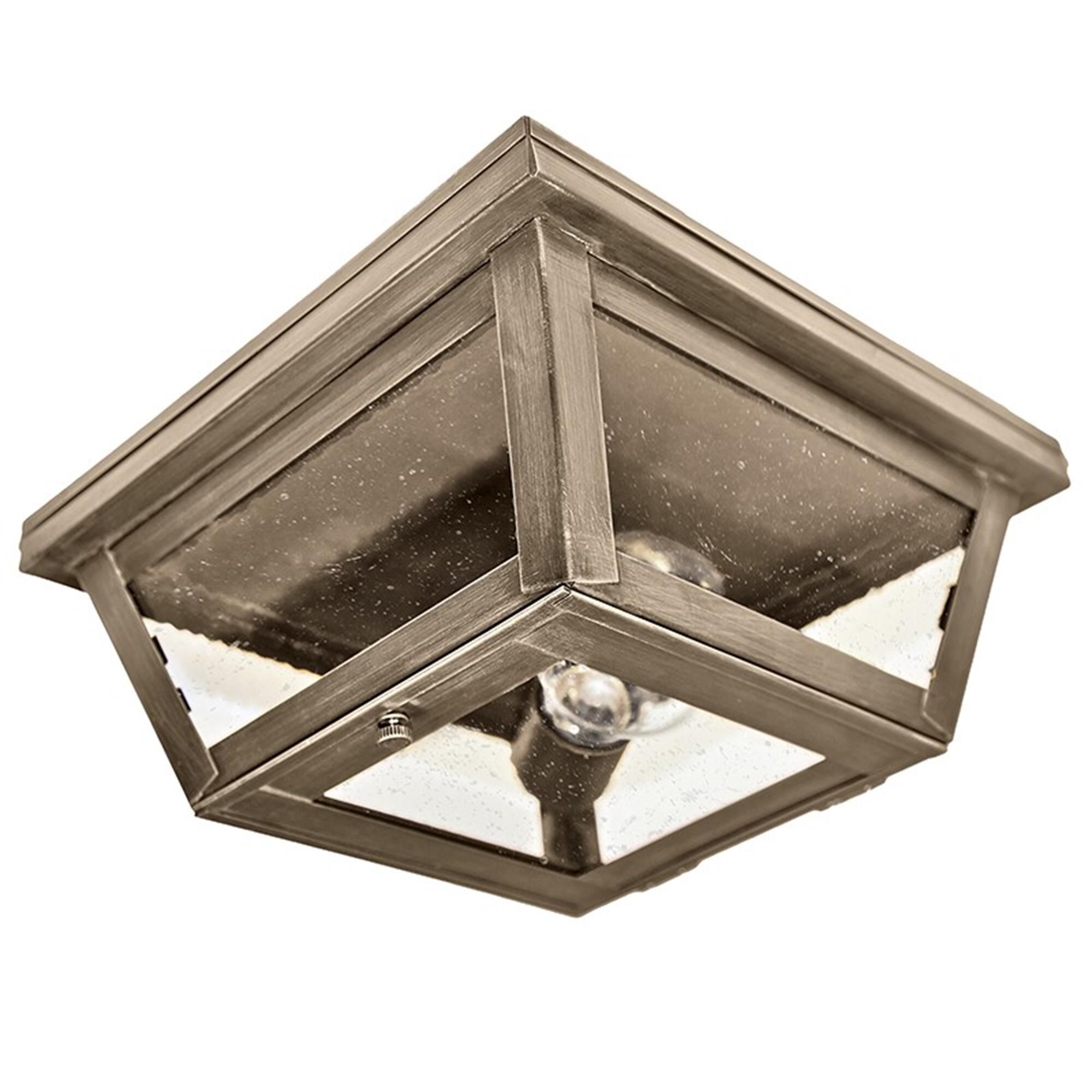 Williams 9 Inch Outdoor Flush Mount,