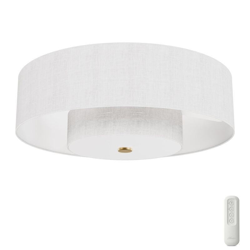 Brookside 30 Inch Ceiling Fan with Light Kit by Hunter Fan