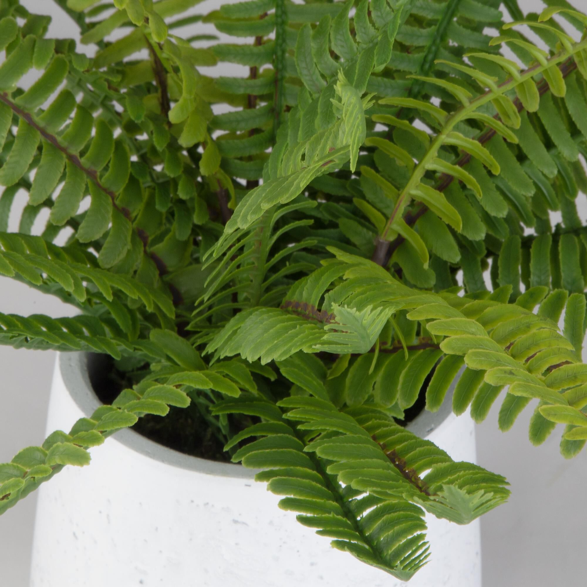 Boston Fern 14 Inch Botanical by Uttermost