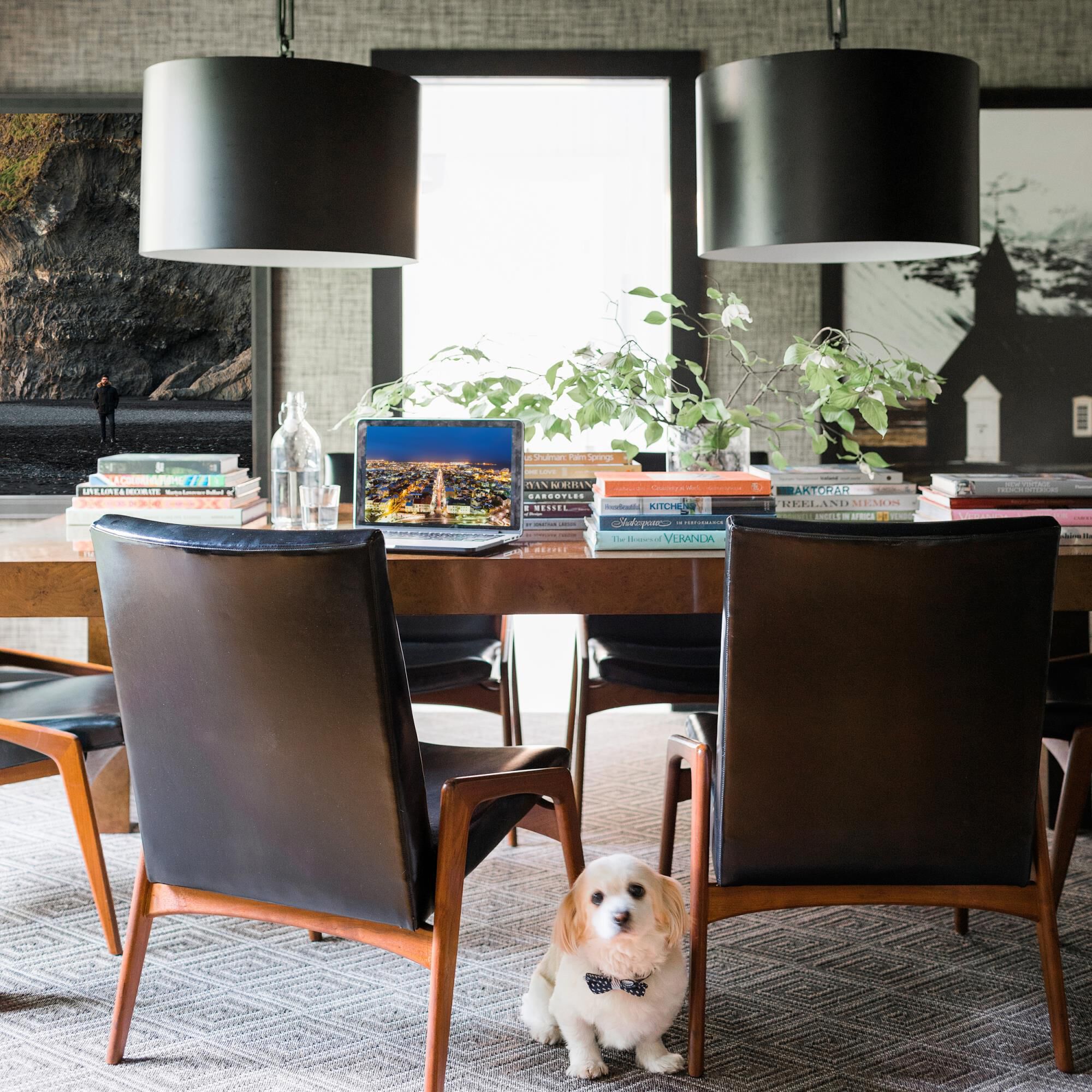 Brian Patrick Flynn Alston 20 Inch 6 Light Mini Chandelier by Crystorama