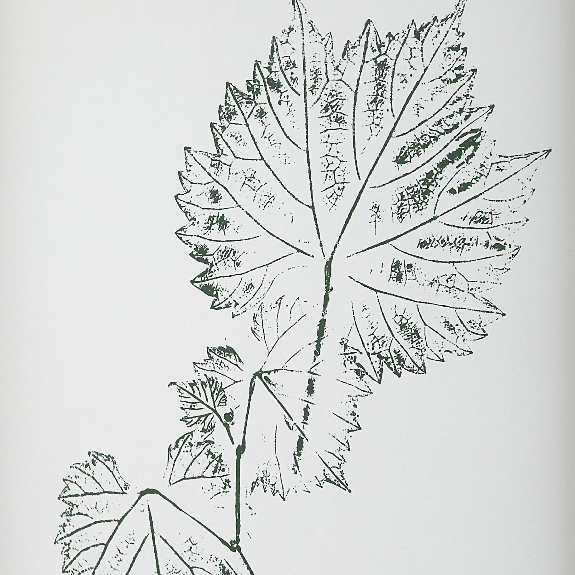 Grace Feyock Nature's 17 Inch Art Print by Uttermost