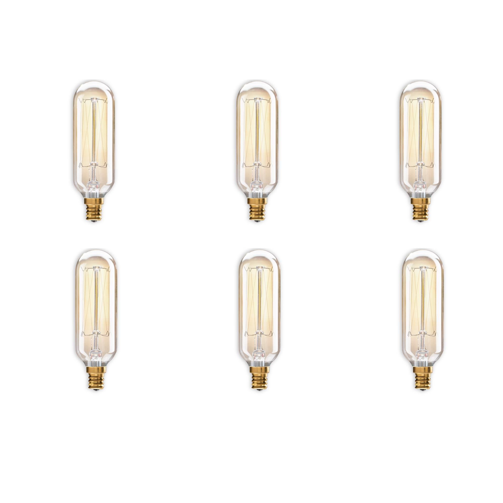Dimmable 40 Watt 2200K T8 Incandescent Light Bulb by Bulbrite
