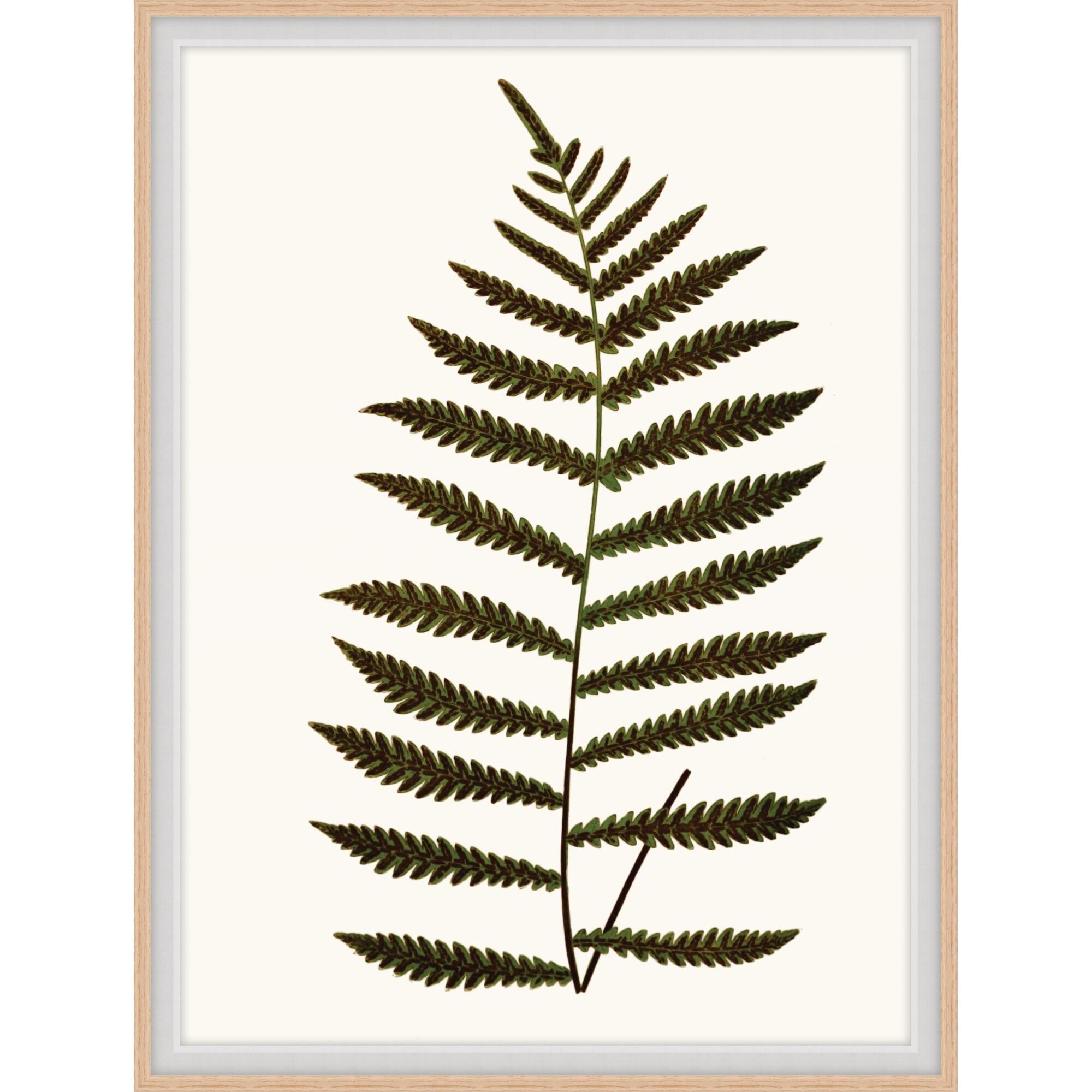 Shown in Brown and Woodtones finish