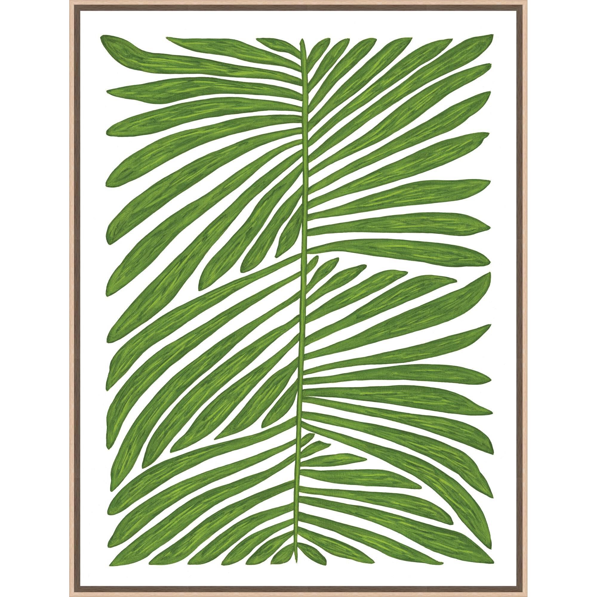 Marianne Hendriks Botanicus Quindecim Print by LEVEL57