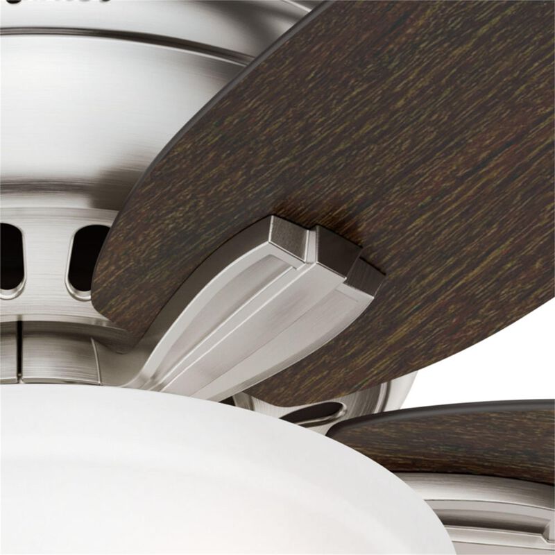Newsome 42 Inch Flush Mount Fan with Light Kit by Hunter Fan