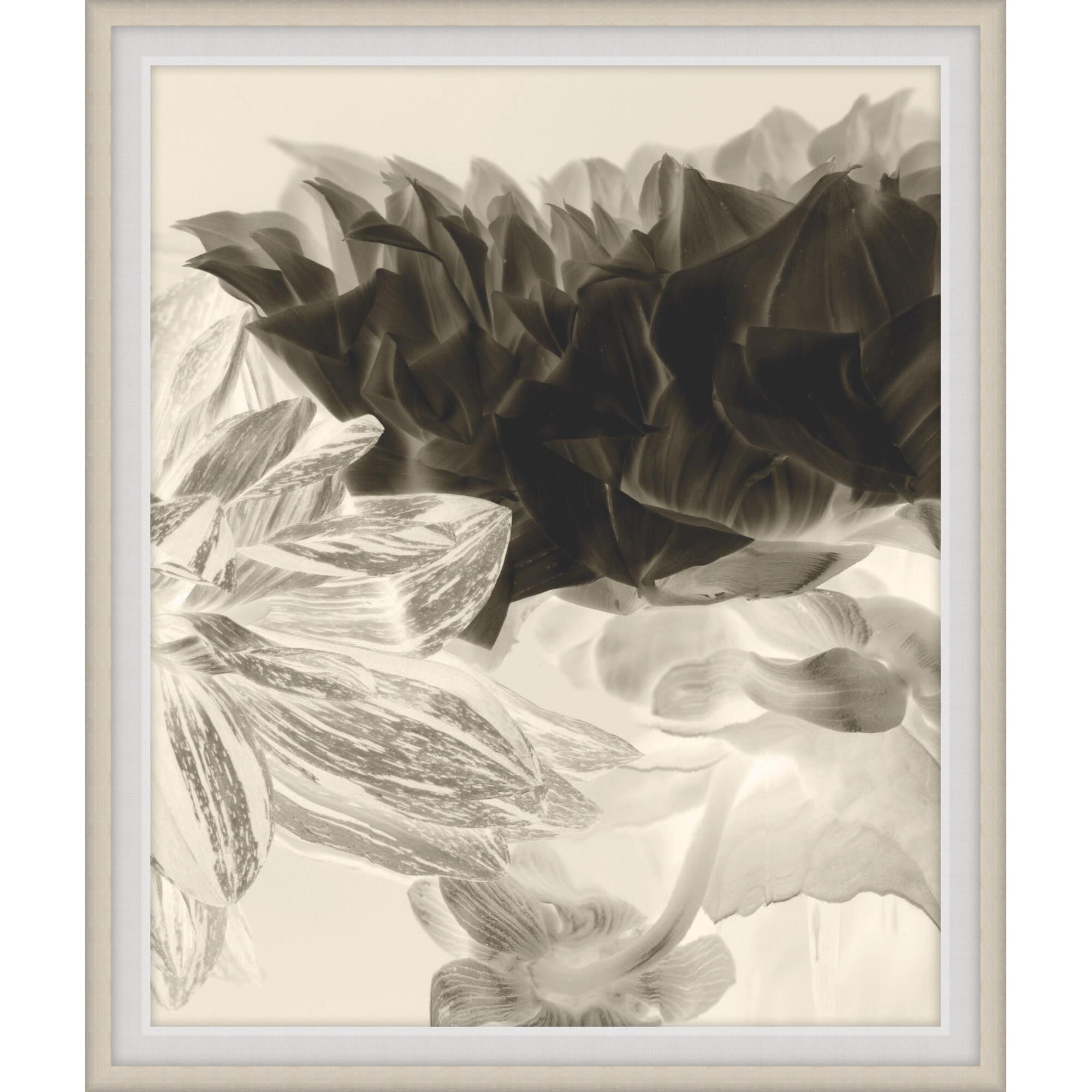 Kate Blacklock Dancing Dahlias Print by LEVEL57