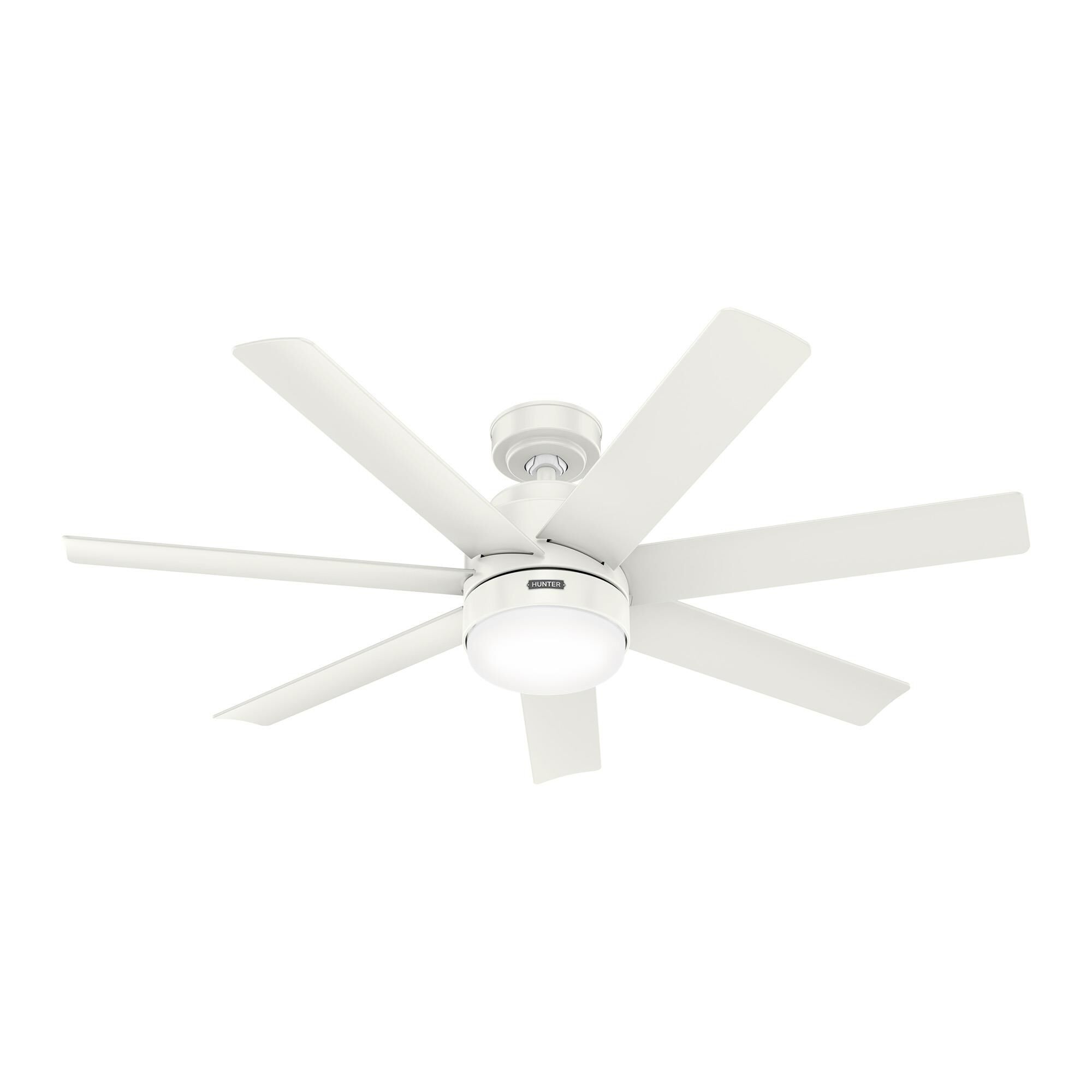 Brazos 52 Inch Ceiling Fan by Hunter Fan