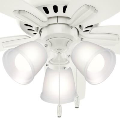 Newsome Flush Mount Fan by Hunter Fan