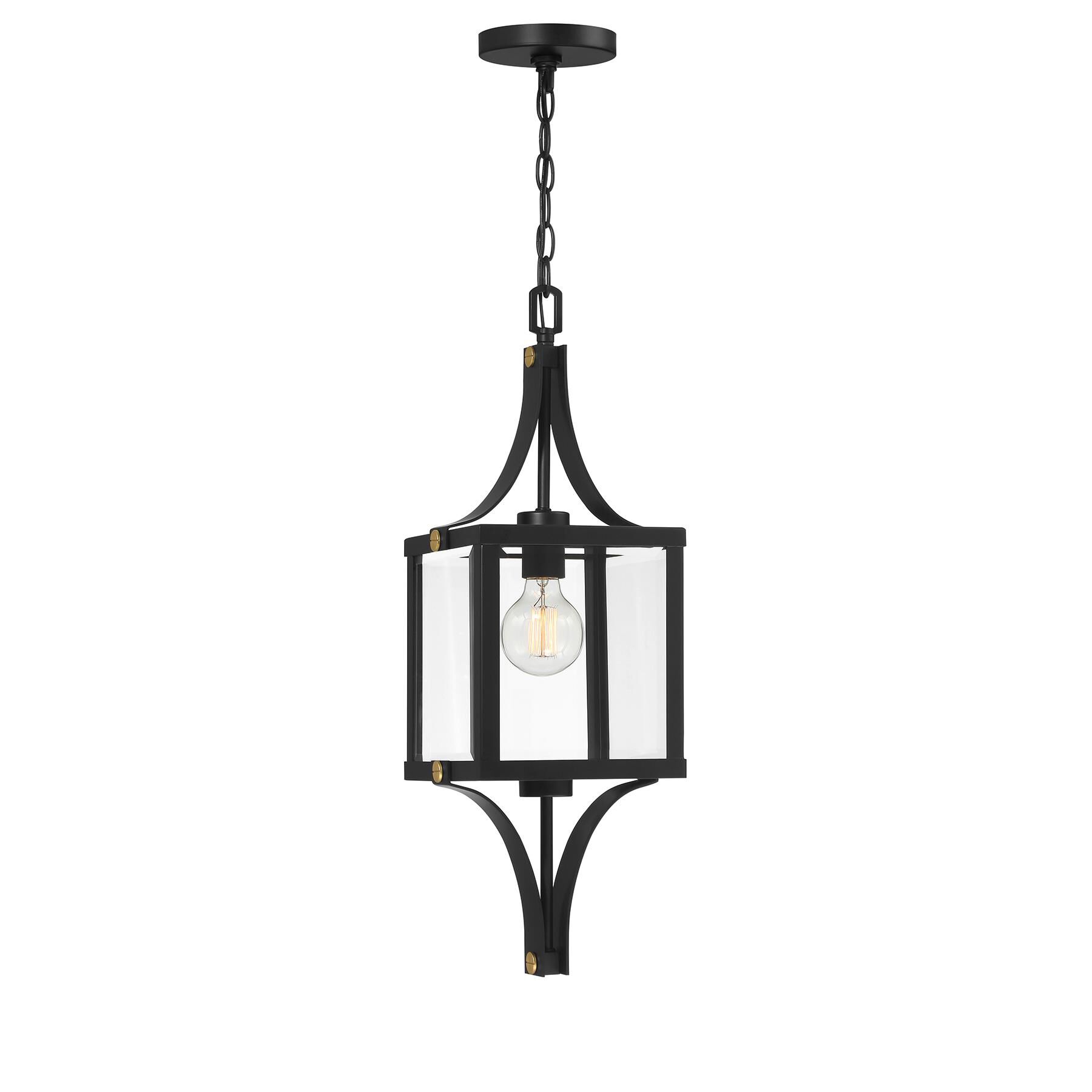 Raeburn 9 Inch Outdoor Hanging Lantern by Savoy House