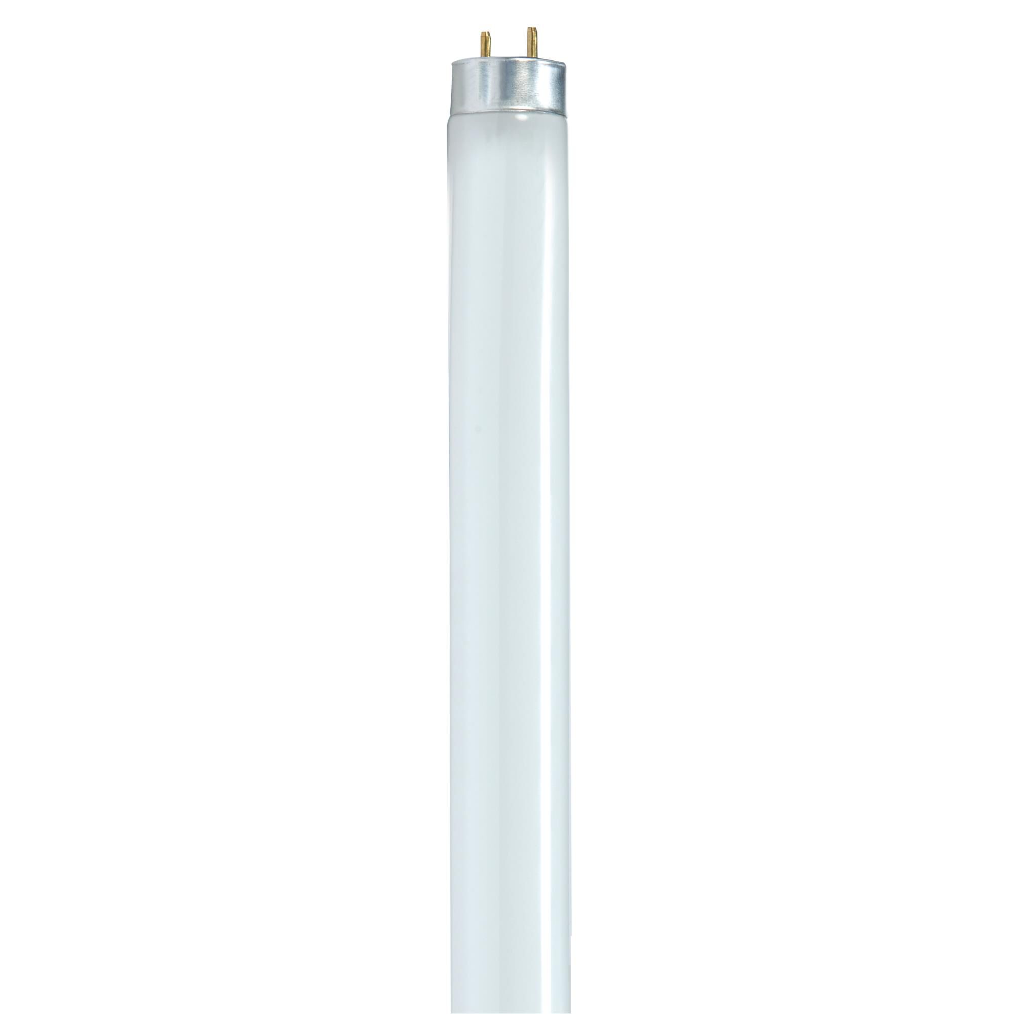 28 Watt 5000K T8 Fluorescent Light Bulb,
