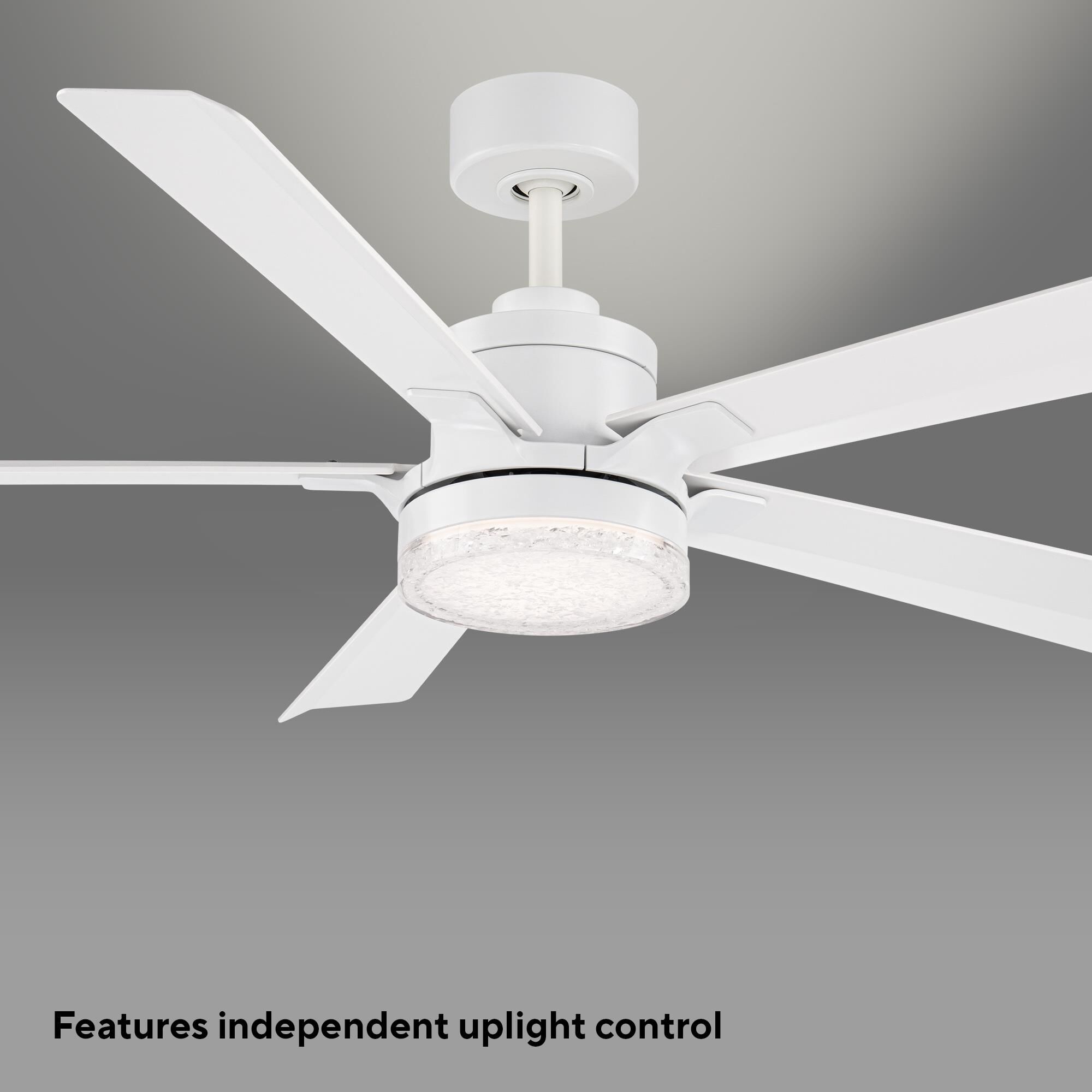 Radiant 64 Inch Ceiling Fan with Light Kit by Modern Forms