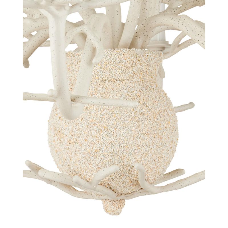 Bayside 29 Inch 6 Light Chandelier by Currey and Company