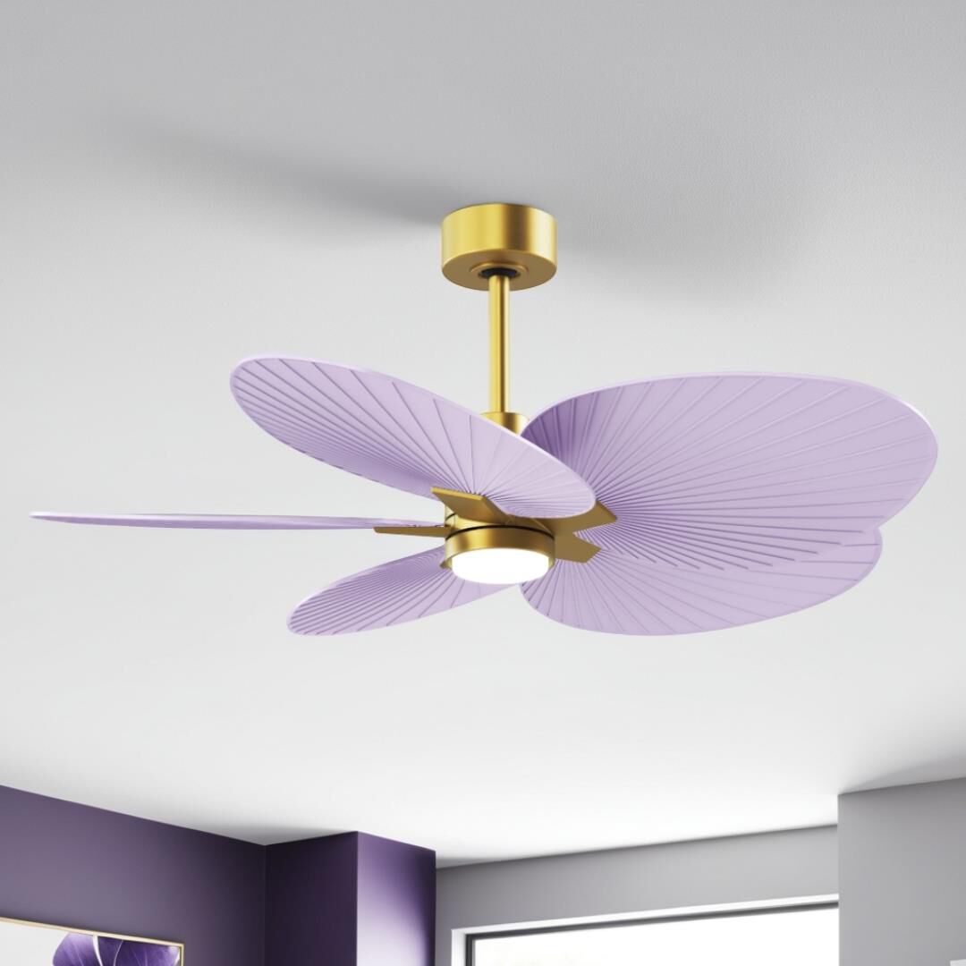 Alessandra Tropical Outdoor Rated 48 Inch Ceiling Fan with Light Kit by Matthews Fan Company